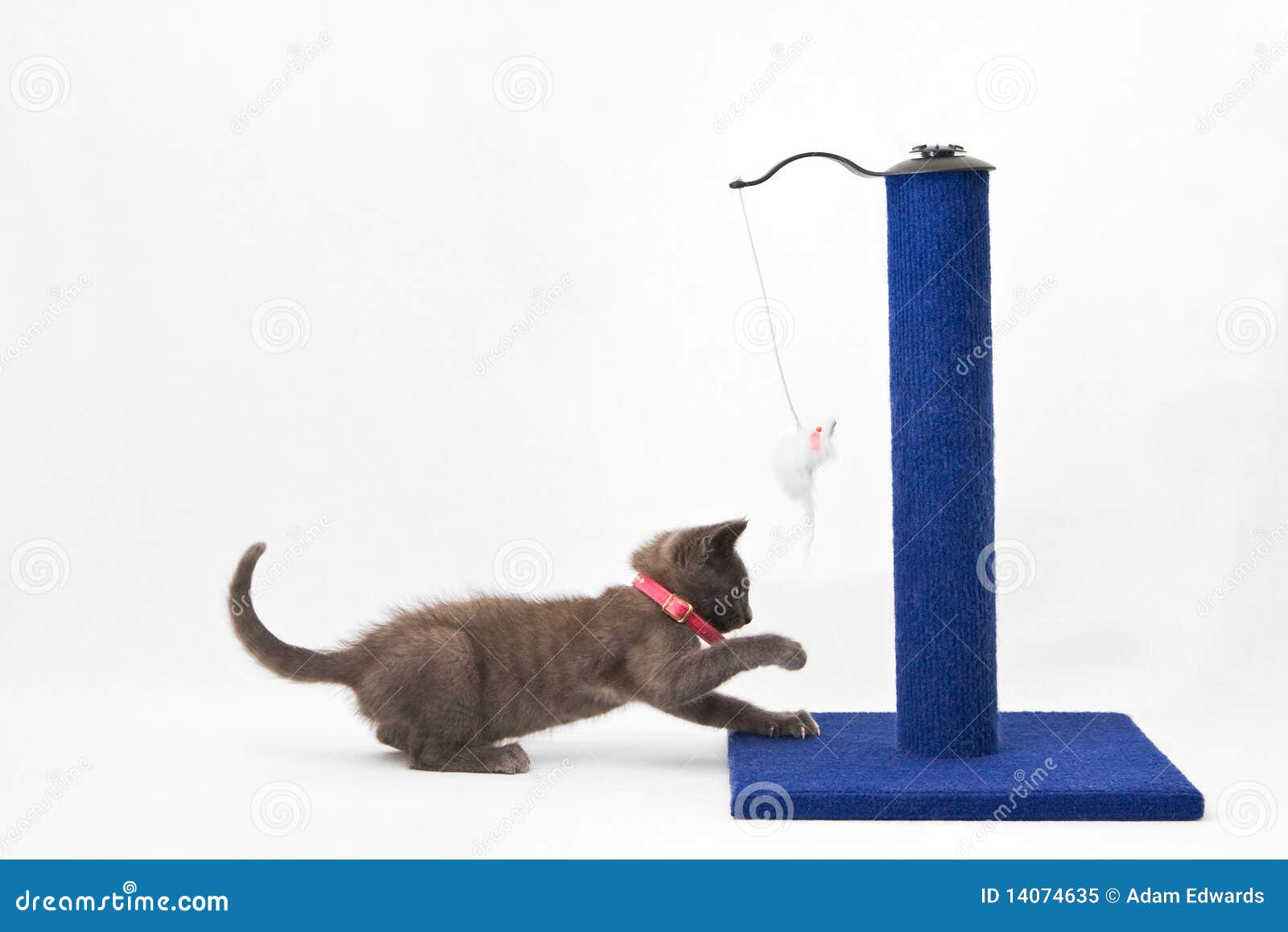 Cat Scratching Post Cutout Royalty Free Stock Image CartoonDealer download-cat-scratching-post-couch-royalty-free-stock-illustration