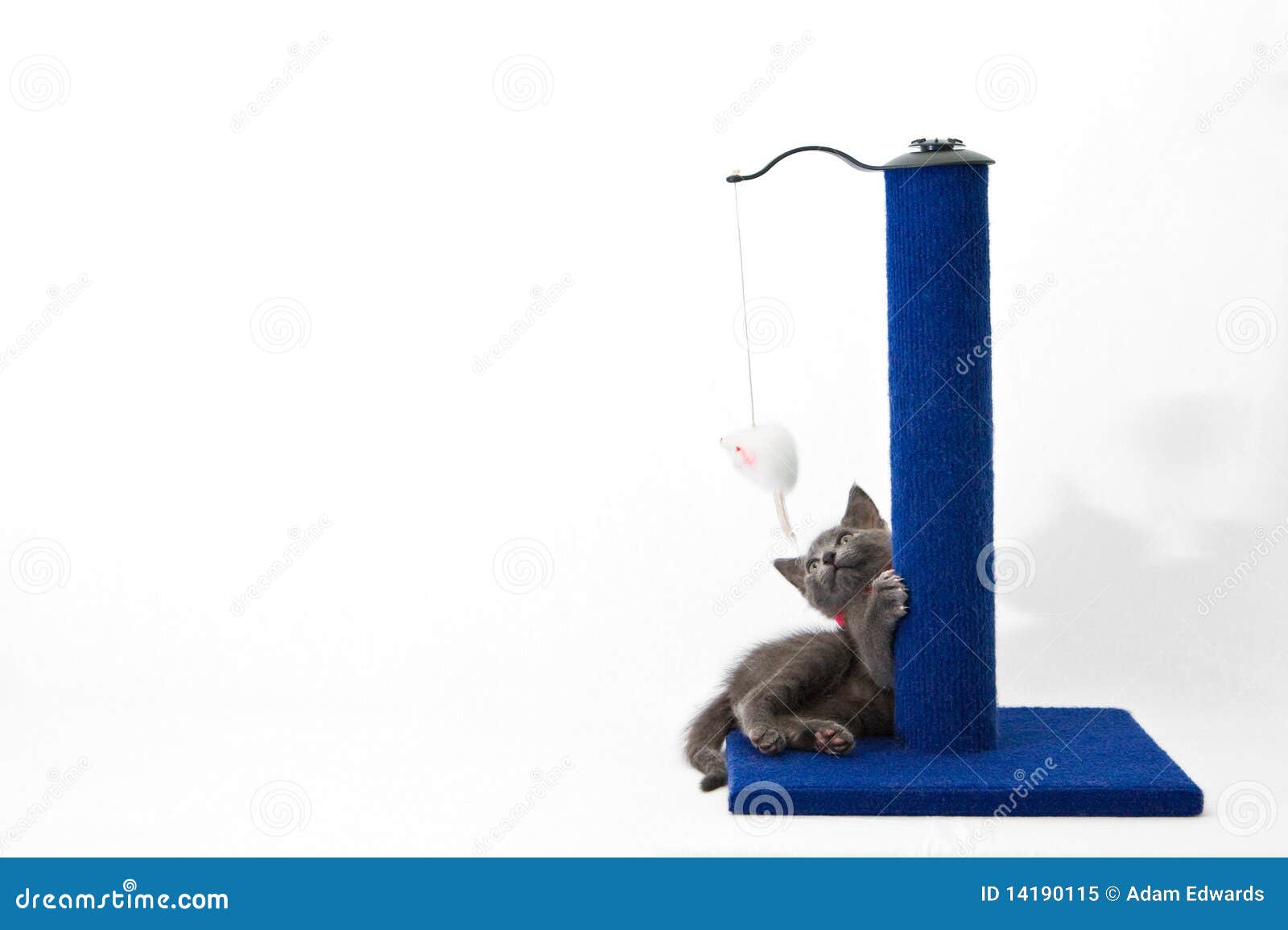 Cat Scratching Post Cutout Royalty Free Stock Image CartoonDealer cat-scratching-post-cutout-royalty-free-stock-image-cartoondealer
