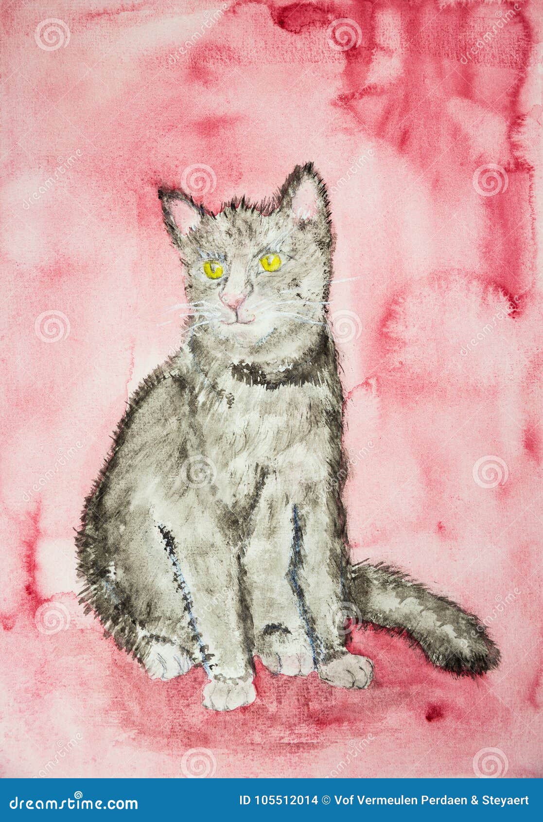 grey kitten on a reddish pink background.