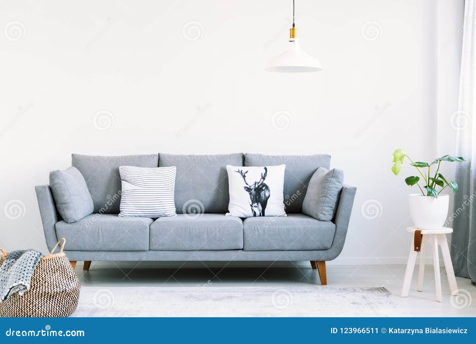 grey lounge with two pillows in the real photo of white living room interior with fresh plant and empty wall with place for your p