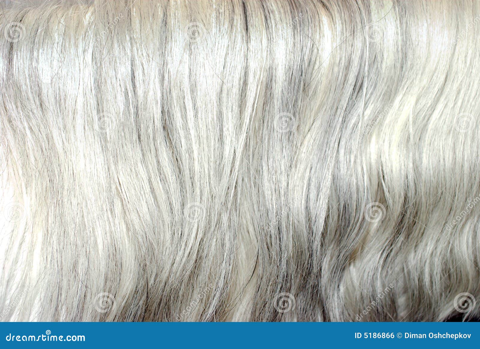 Grey mane hair background stock photo. Image of beauty 5186866