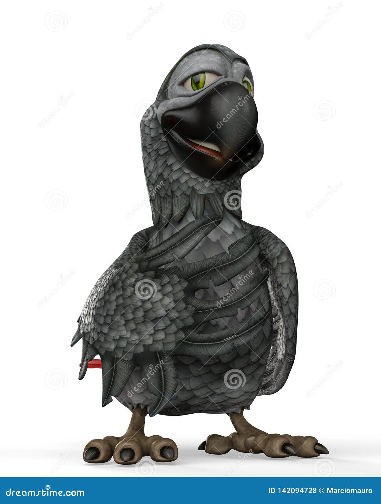Grey Parrot Cartoon Overconfident Stock Illustration - Illustration of  isolated, smile: 142094728