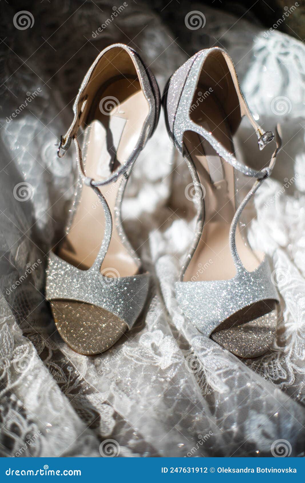 Grey Shoes on a Wedding Dress Stock Photo Image of beauty, fashion