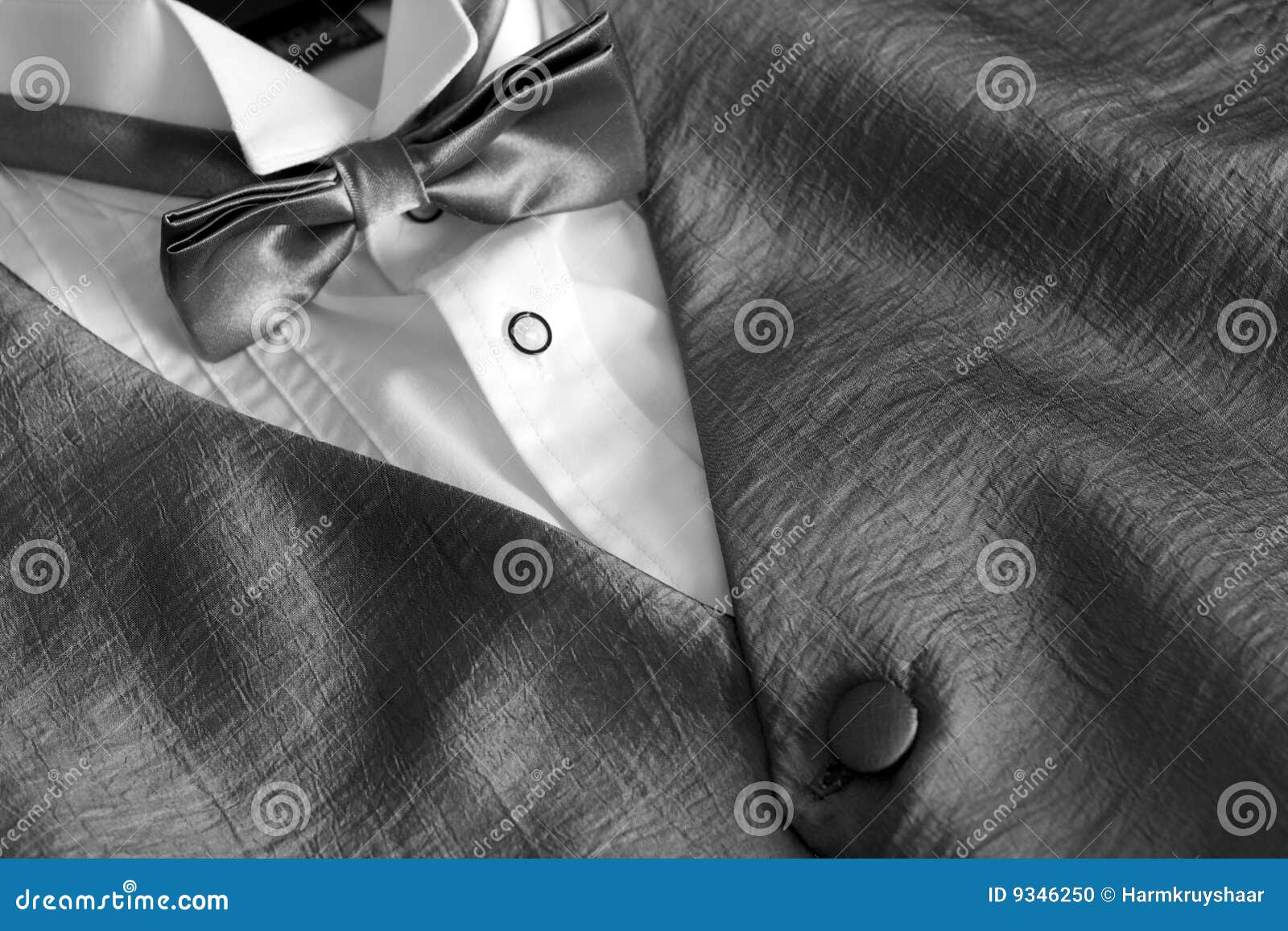 Grey Silver Jacket with a White Shirt and Bow Tie Stock Photo Image