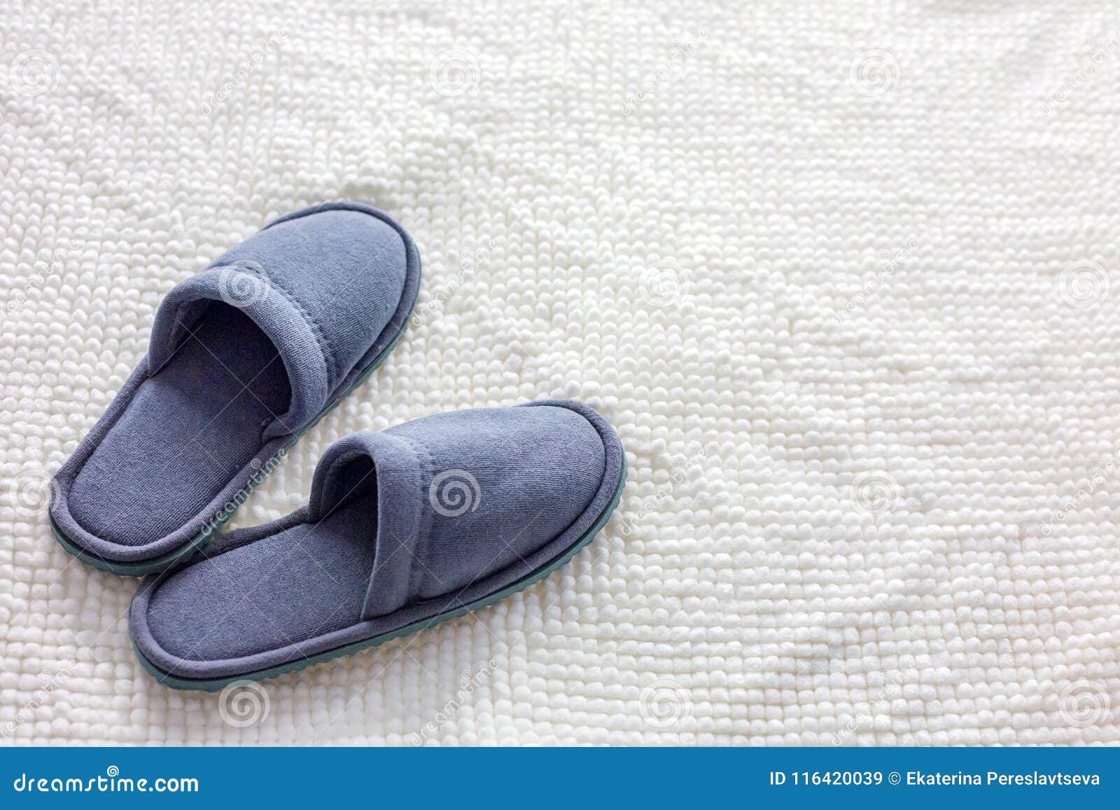 Grey Slippers on the Carpet Stock Image Image of cozy, felt 116420039
