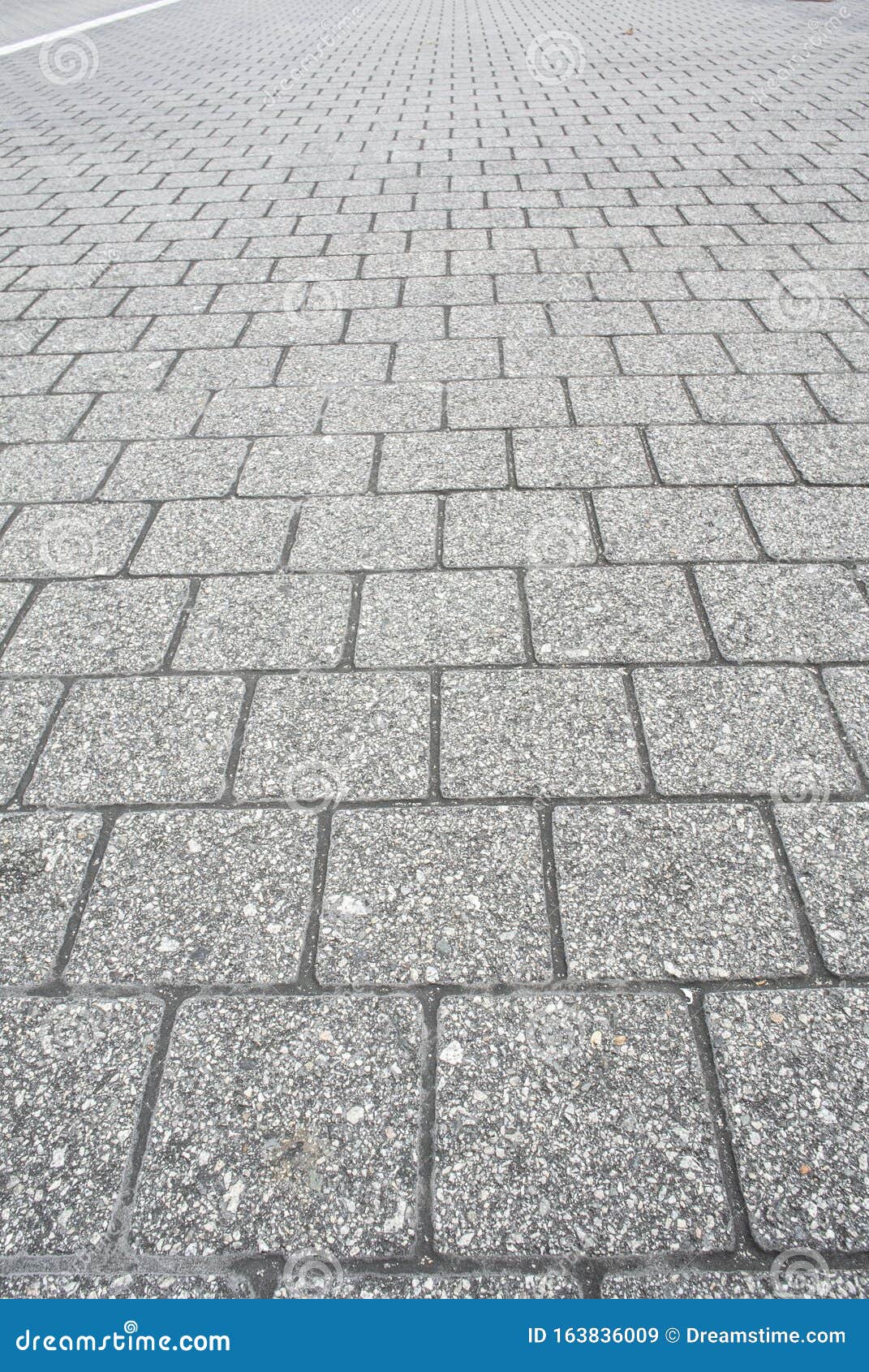 Grey Square Tile Flooring Or Road Background With White Line Stock