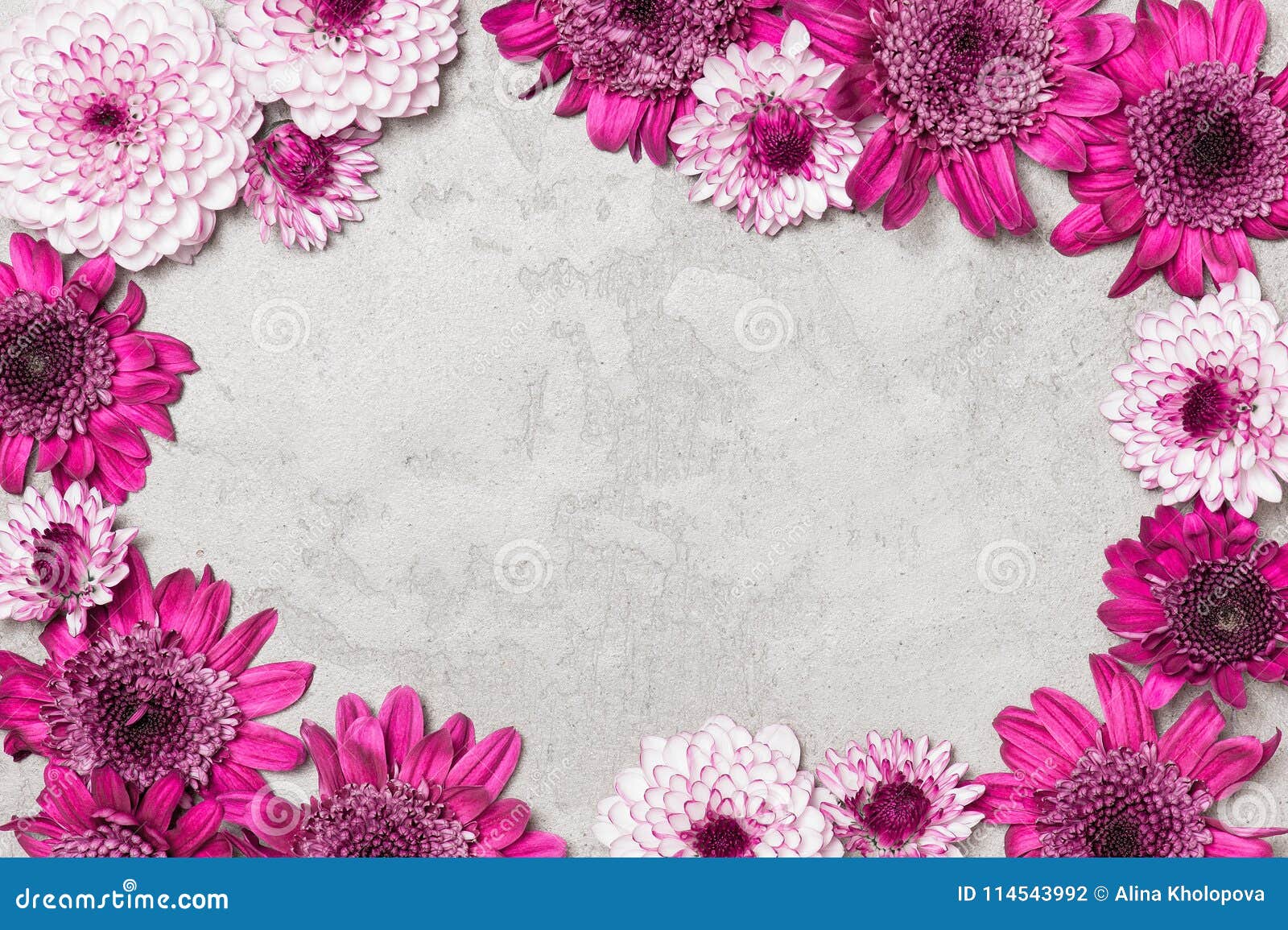 Grey Textured Background Decorated with Flowers Stock Photo - Image of