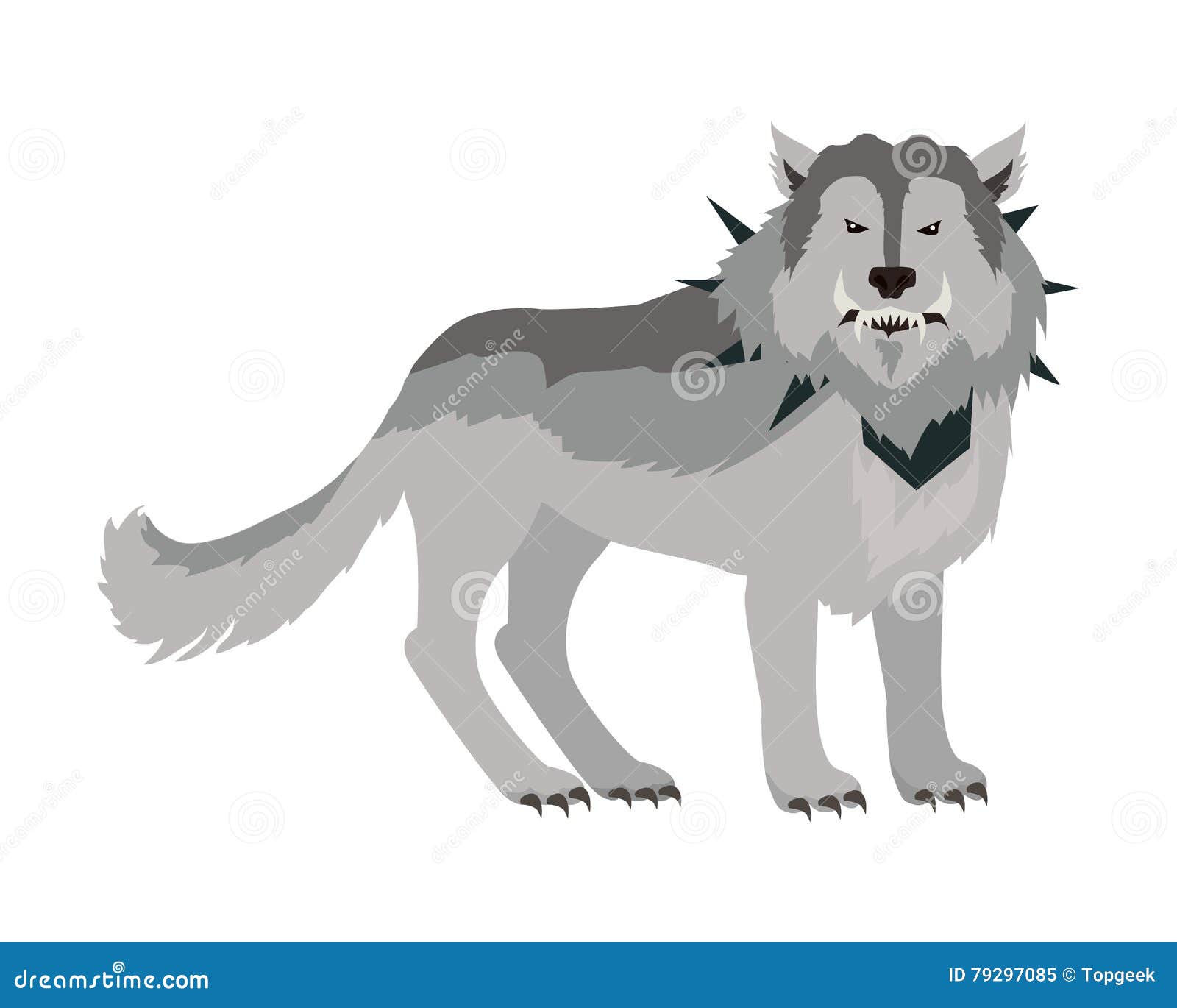 Grey Wolf in the Collar stock vector. Illustration of attack - 79297085