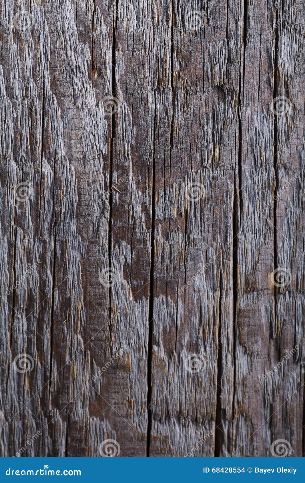 Grey Wood Surface with Deffects Stock Photo Image of antique, aged