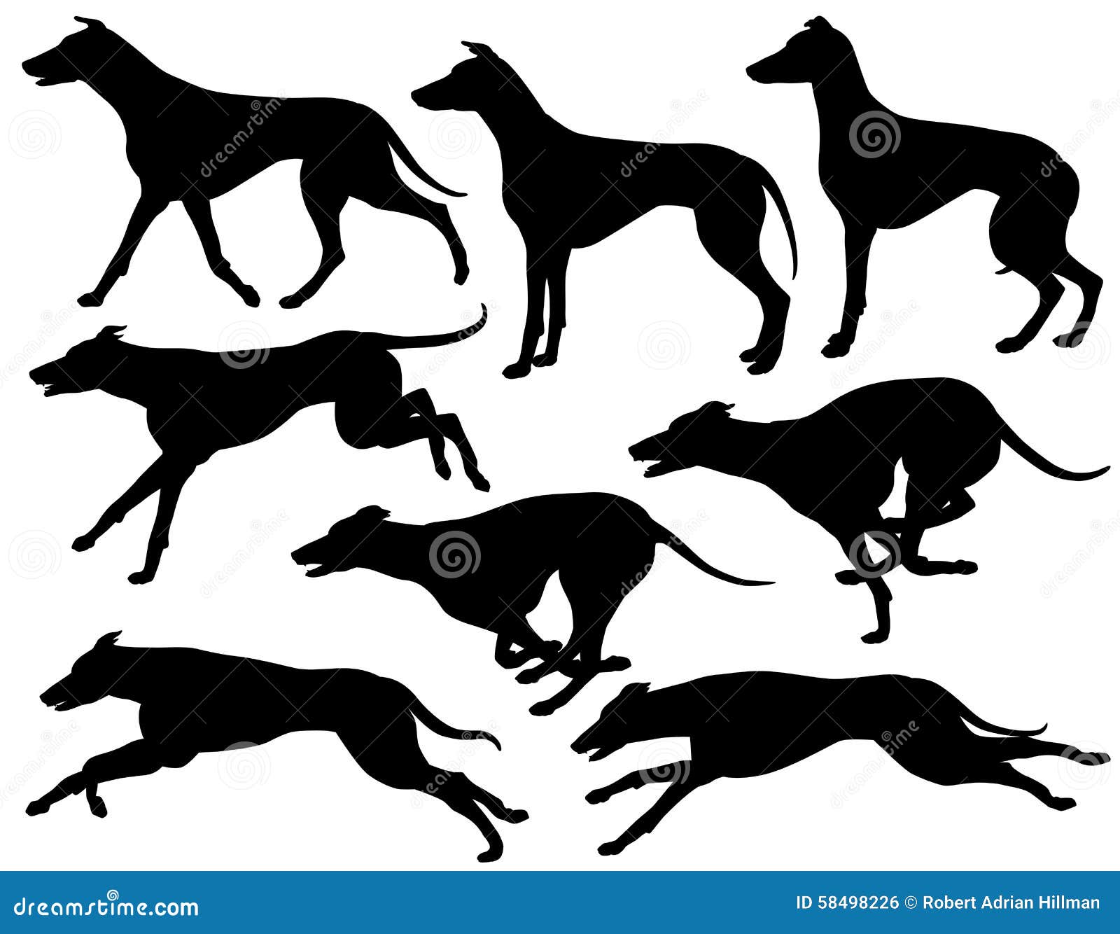 greyhound dog clipart - photo #50