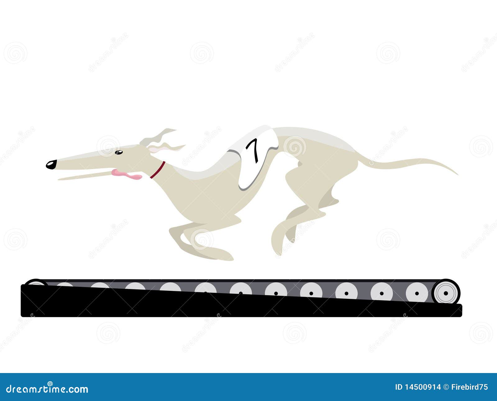 Greyhound training stock vector. Illustration of running 14500914