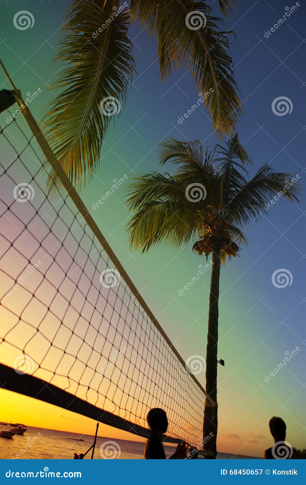Grid for Beach Volleyball between Palm Trees at a Sunset and Sea