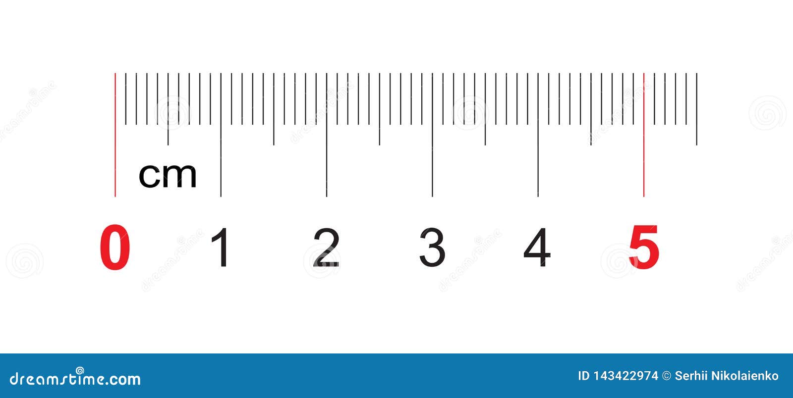 Ruler Of 300 Millimeters Ruler Of 30 Centimeters Calibration Grid