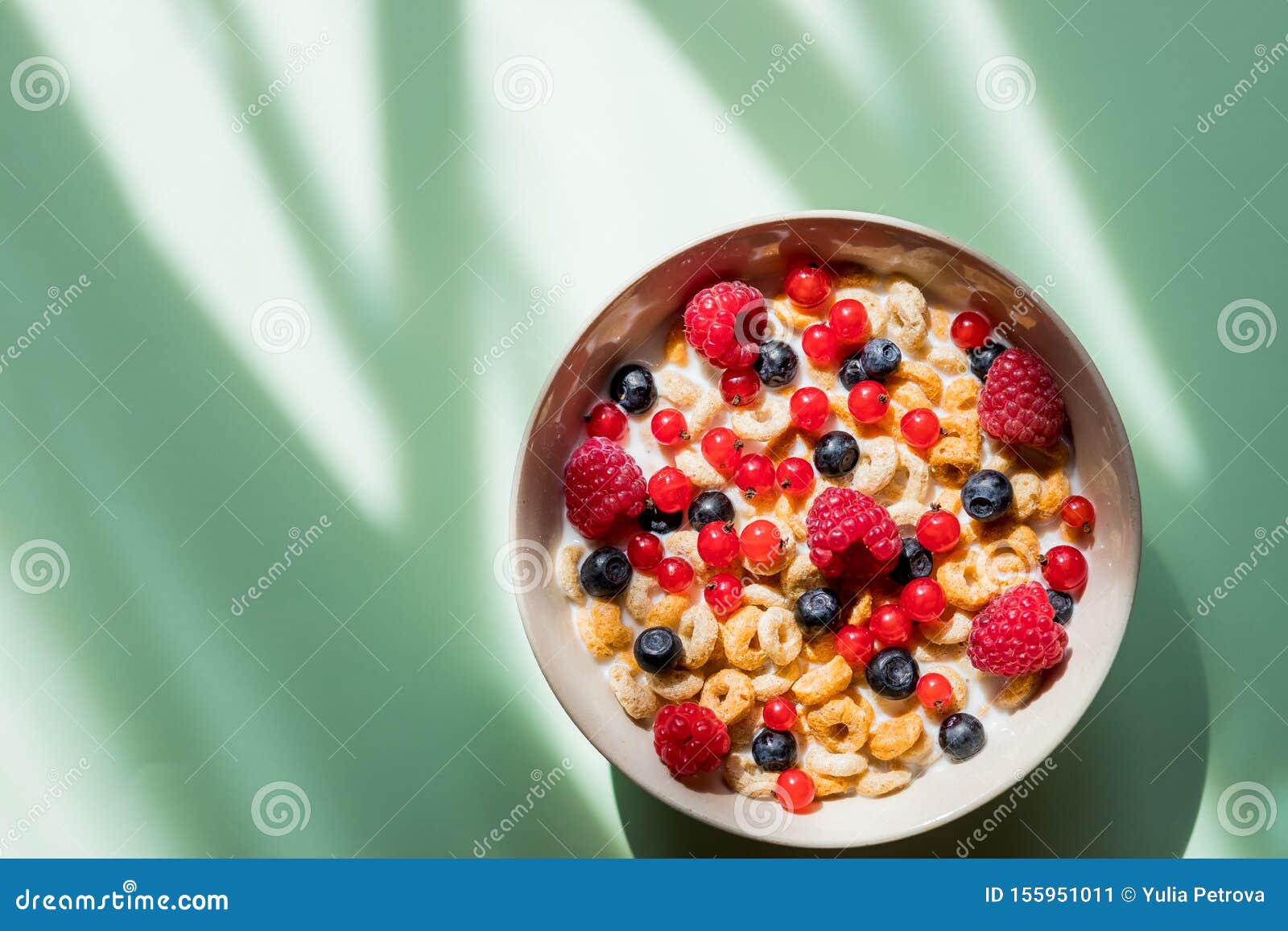 Griechischer Jogurt-, Milch-, Granola- Und Beermischgut Oberansicht ...