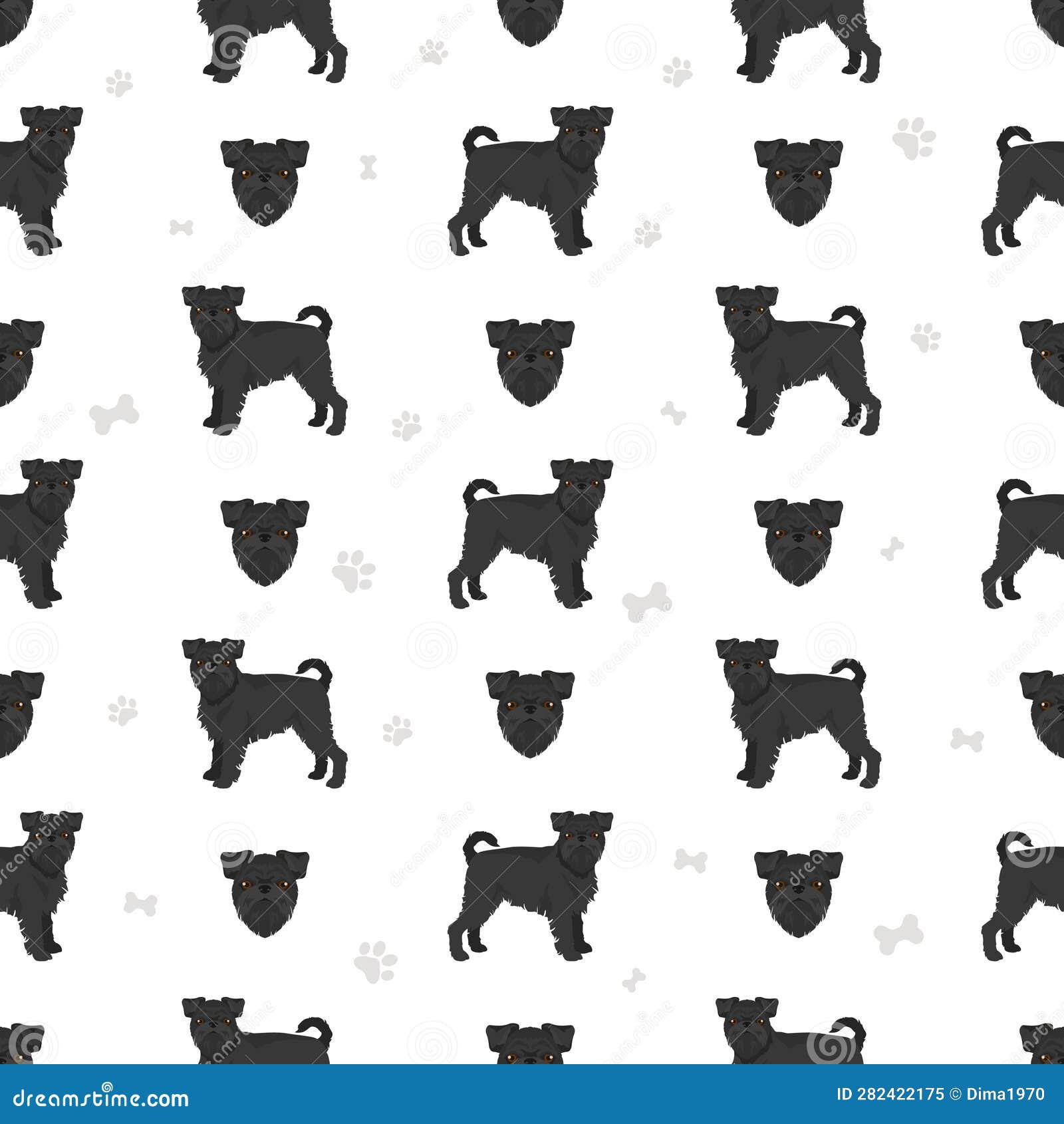 Griffon Belge Seamless Pattern. Different Poses, Coat Colors Set Stock ...