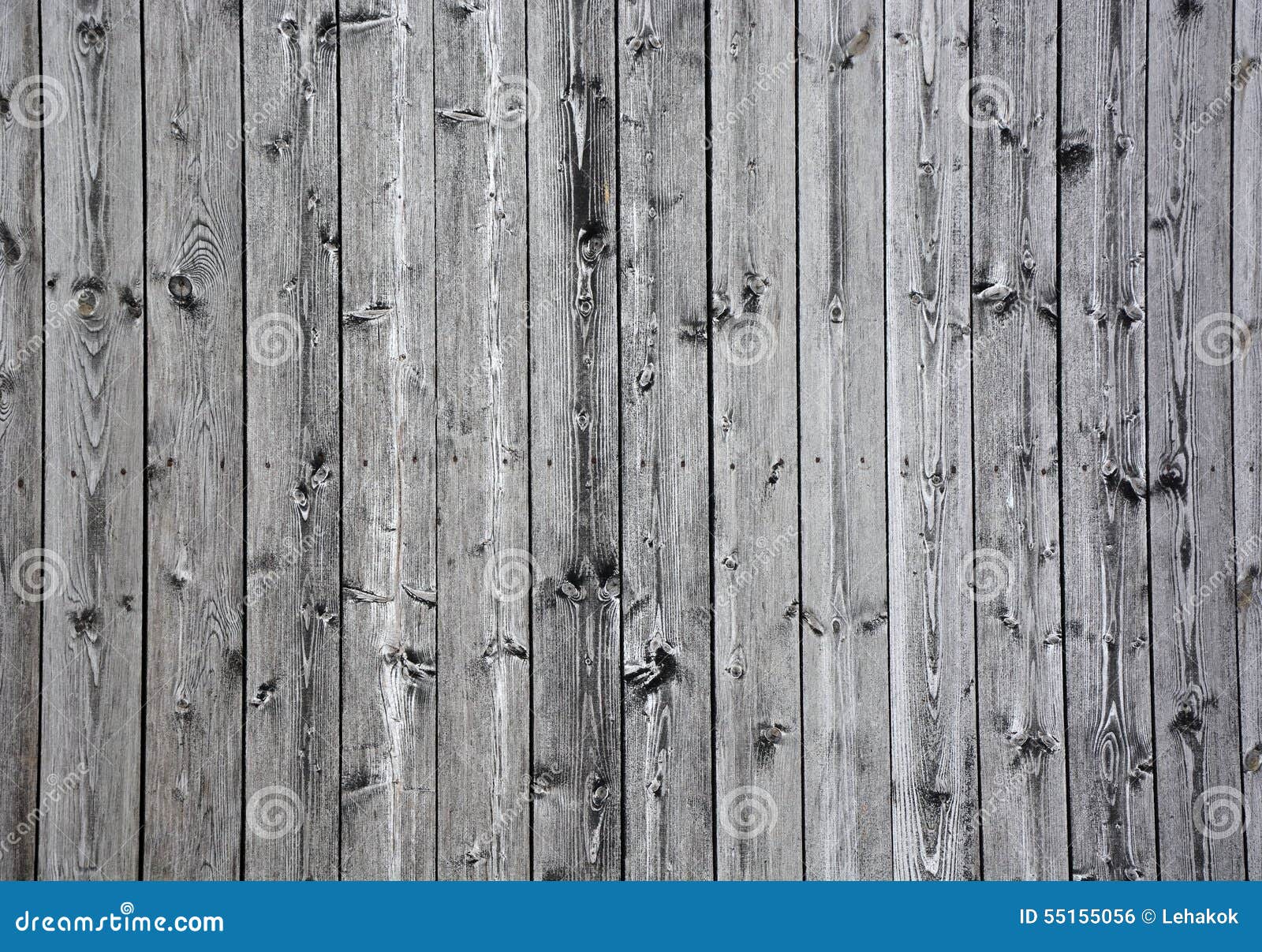 onenigheid Avonturier verwennen Grijs hout stock foto. Image of hardhout, patroon, korrel - 55155056
