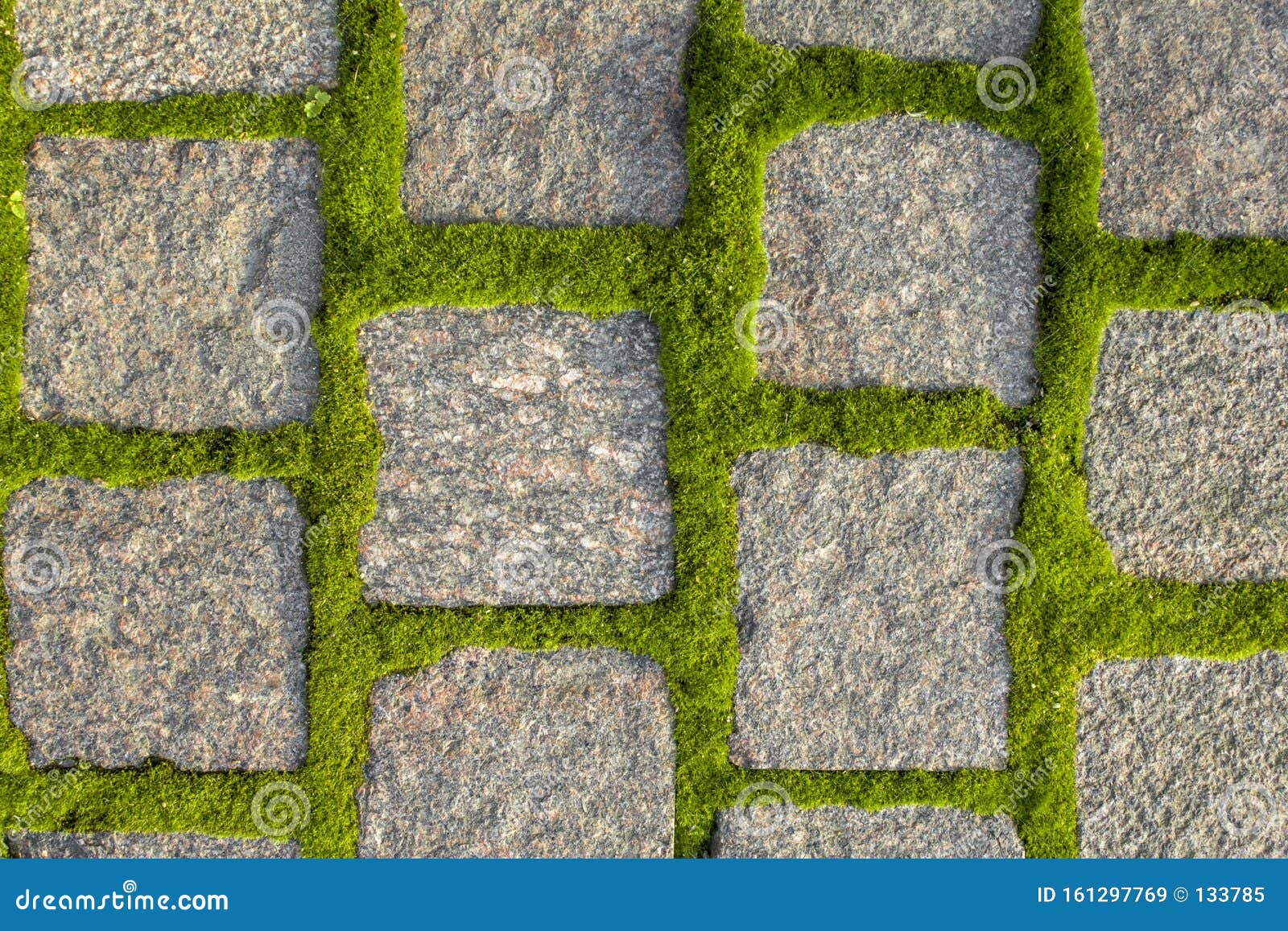 Smash output Dynamiek Grijze Stenen Bestrating Gemaakt Van Vierkante Stenen Stenen Stenen Met  Gekiemde Groene Mos Ruw Oppervlak Stock Afbeelding - Image of baksteen,  landschap: 161297769