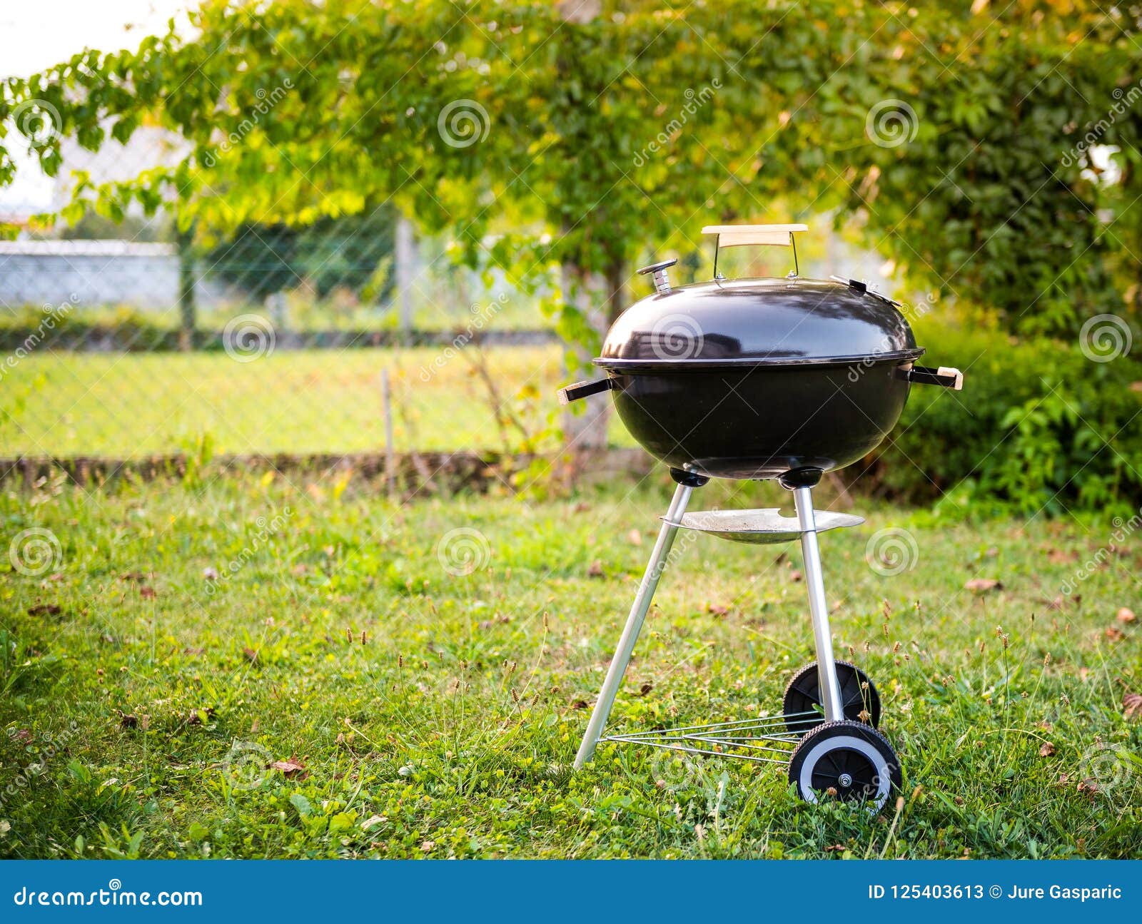 Gril De Barbecue De BBQ De Charbon De Bois De Bouilloire Dans Le