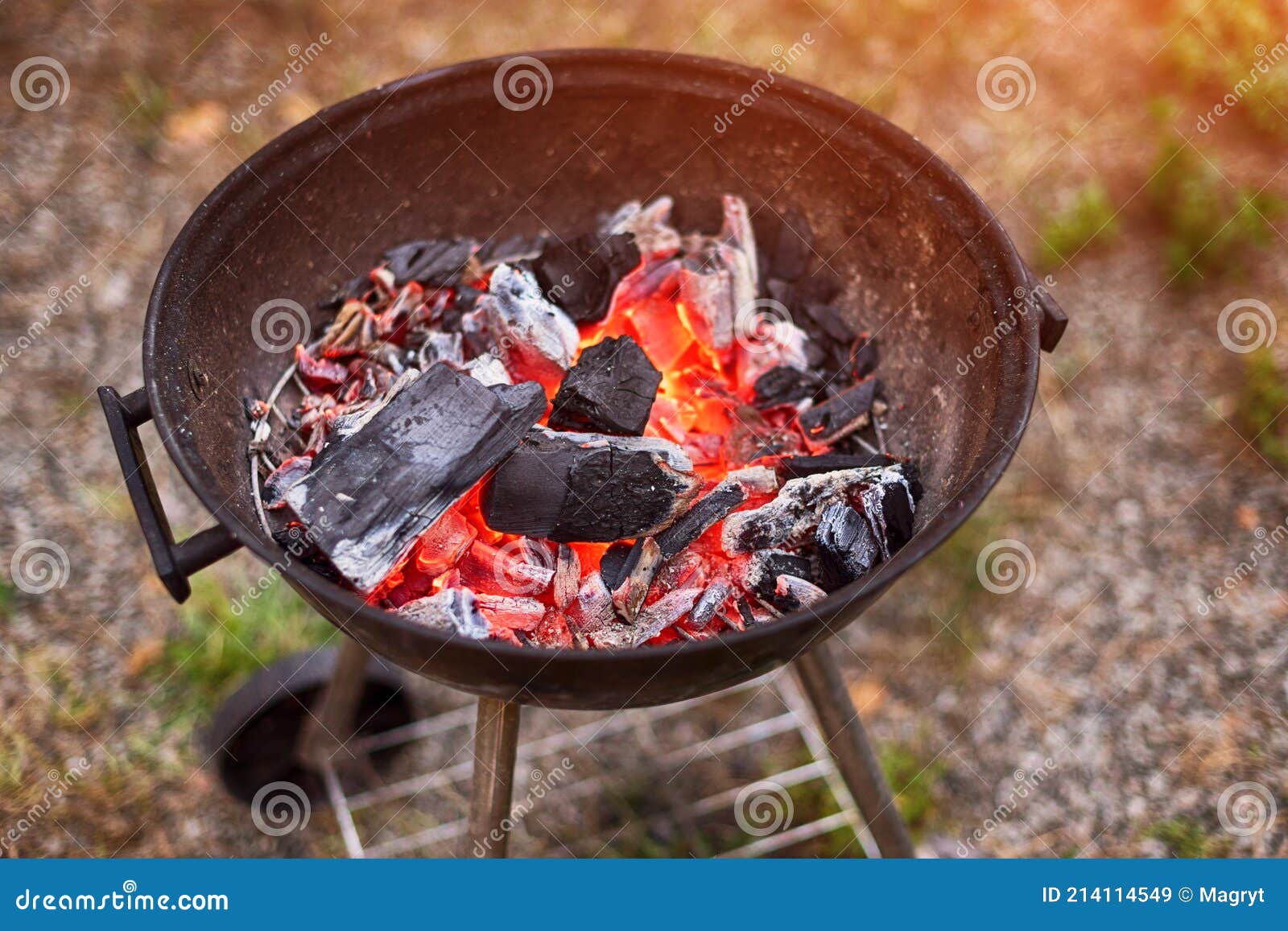 Grill Au Charbon De Bois Prêt Pour Barbecue Fête En Plein Air Image stock -  Image du griller, nourriture: 214114549