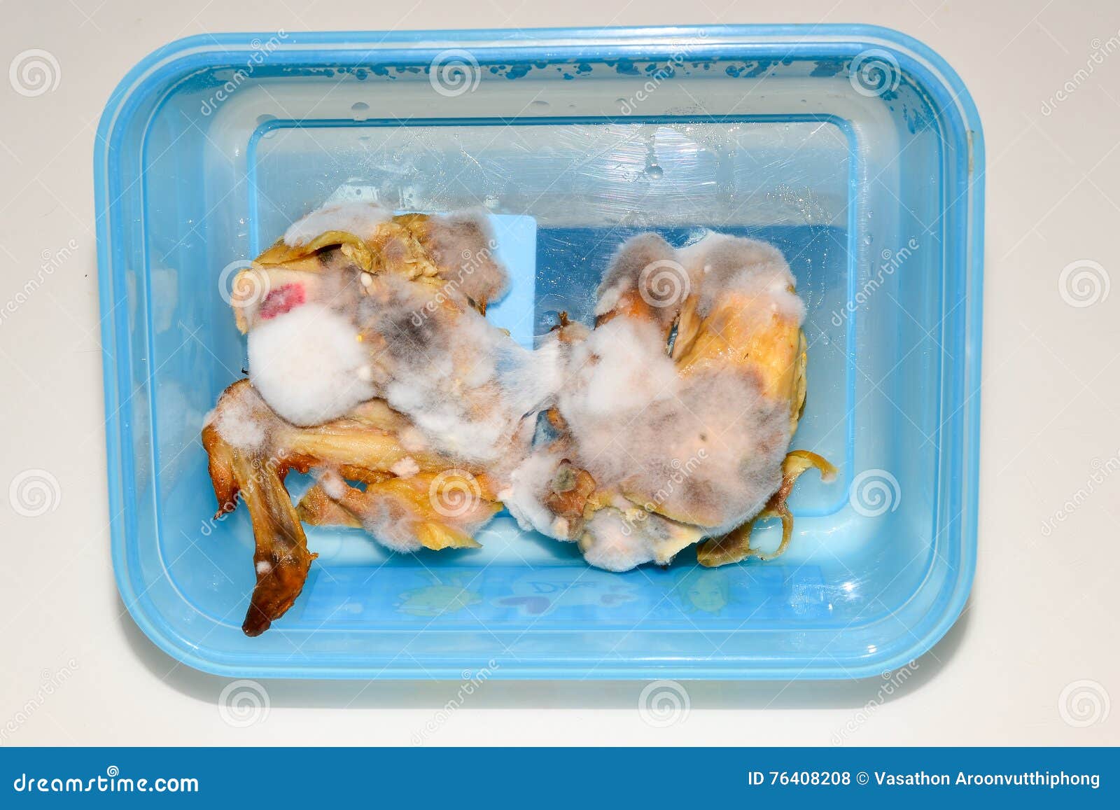 657 Chicken Mold Photos Free & RoyaltyFree Stock Photos from Dreamstime