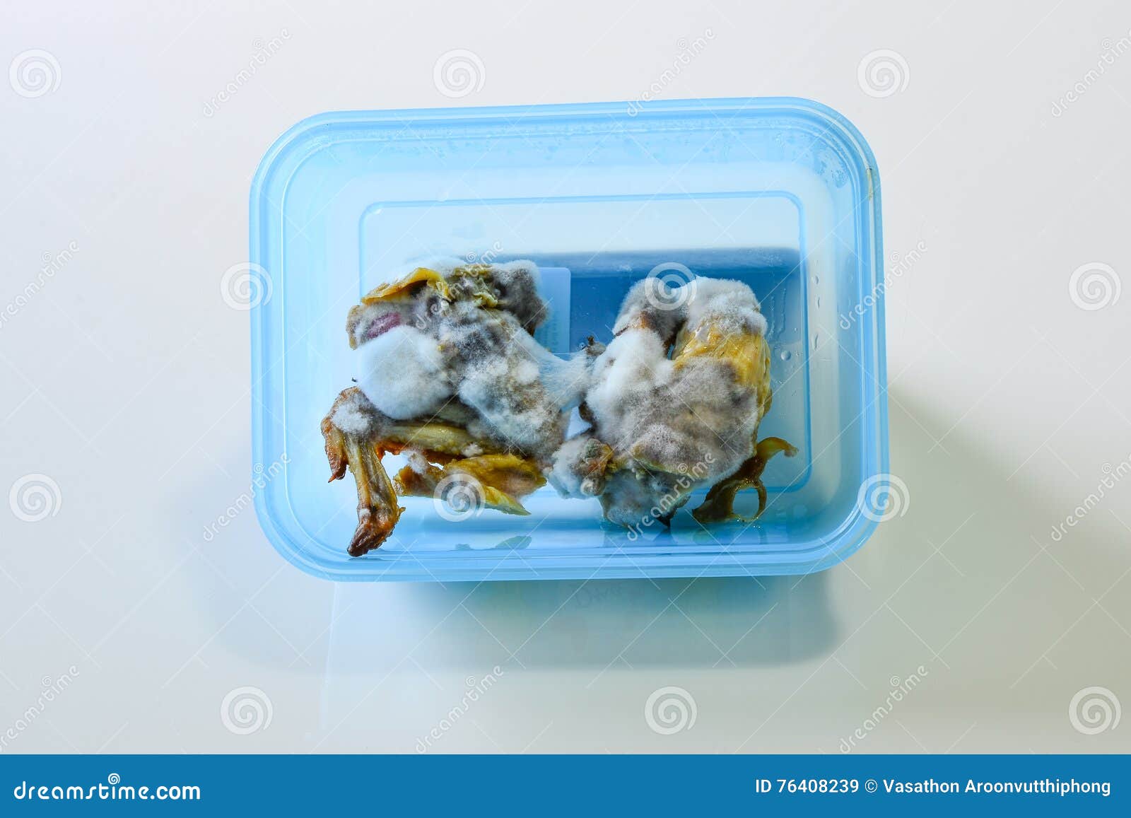 Chicken Mold Stock Images Download 497 Royalty Free Photos
