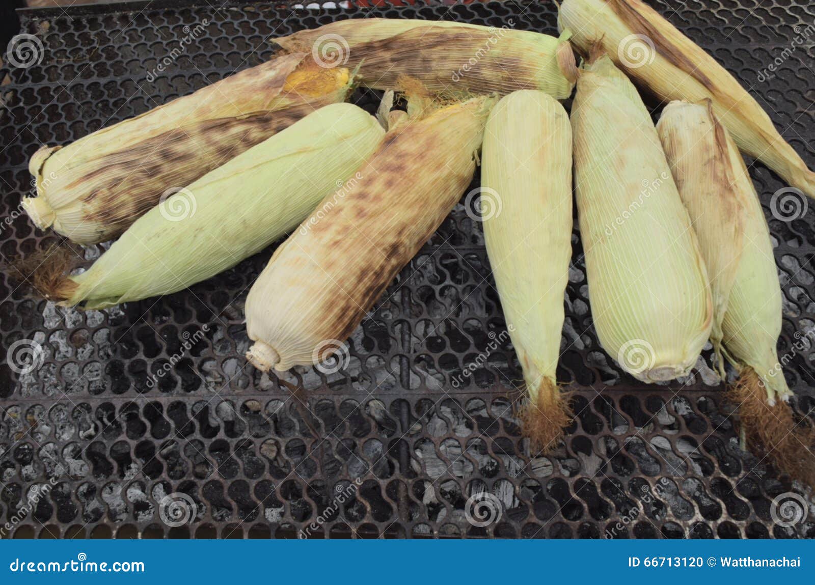 Grill corn on stove. stock photo. Image of grilled, maize 66713120