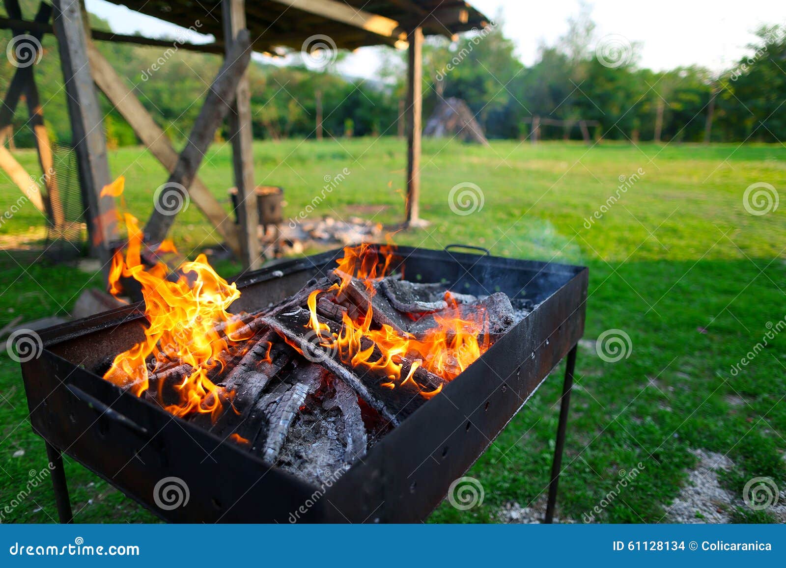 Grill fire stock photo. Image of outdoor, burn, fire 61128134