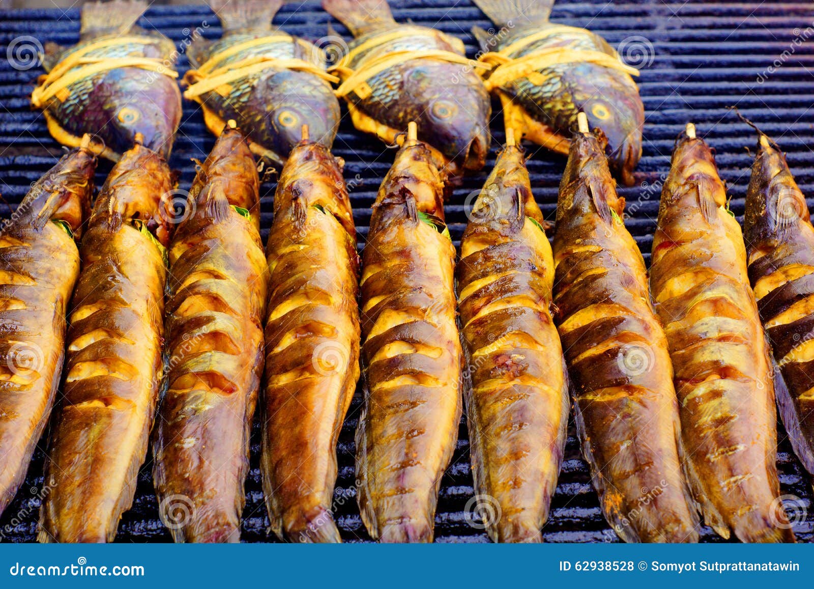 Grill fish BBQ stock photo. Image of stove, grill, fish 62938528