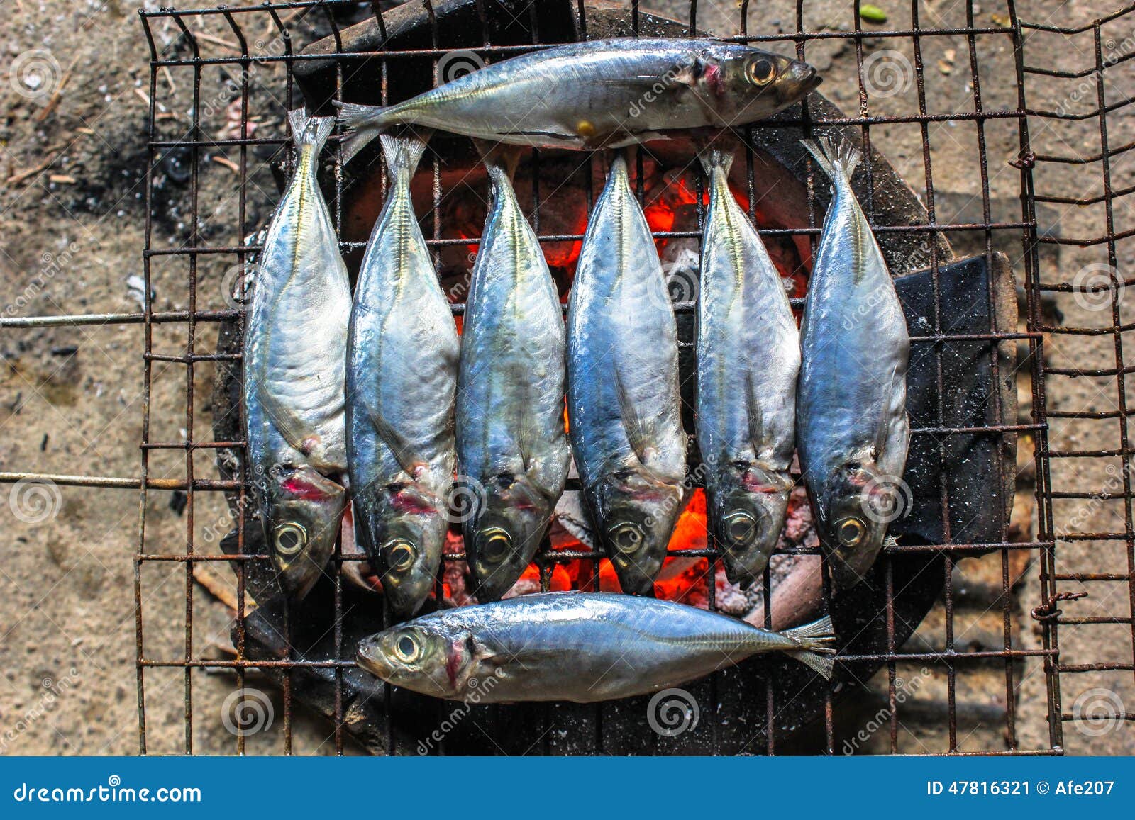 Grill Fresh Sea Fish on Stove Charcoal Stock Image Image of food