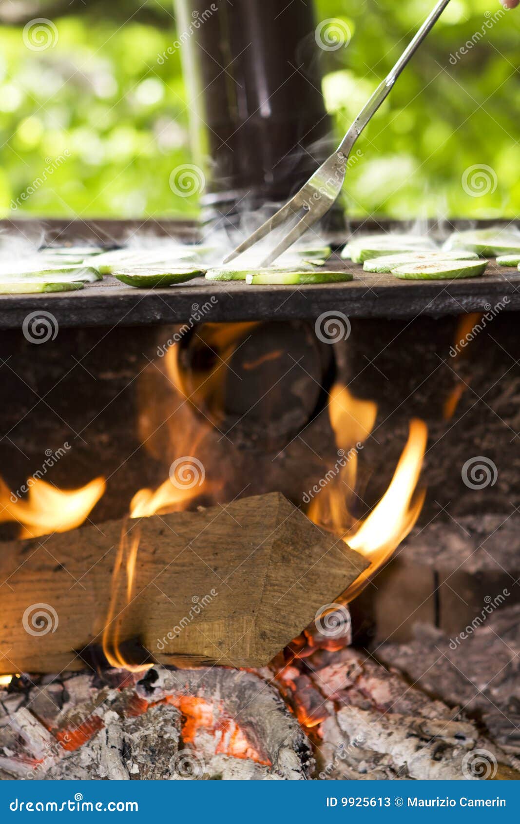 Grill with Hot Plate and Food Stock Image Image of wood, grilling