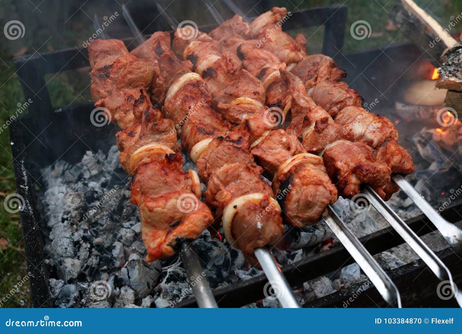 Grill Meat Barbeque on Fire. Stock Photo - Image of kebab, grill: 103384870