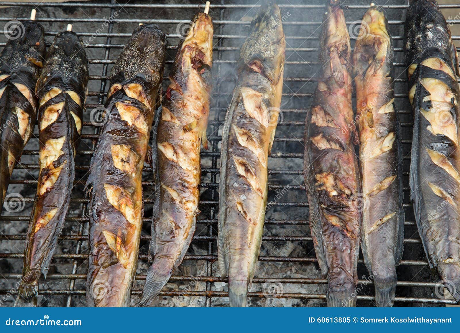 Grilled catfish stock image. Image of heat, tropical 60613805