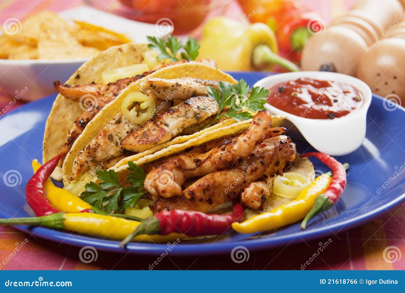 Grilled Chicken Meat in Taco Shells Stock Photo Image of mexican