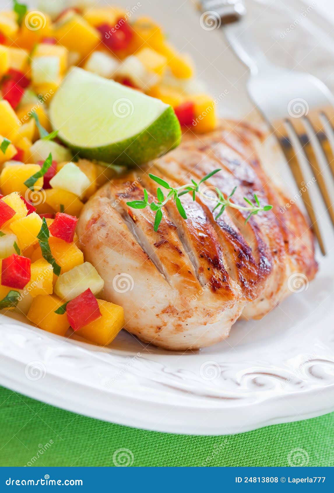 Grilled chicken and salsa. Grilled chicken fillet and mango, cucumber, pepper salsa. Selective focus.