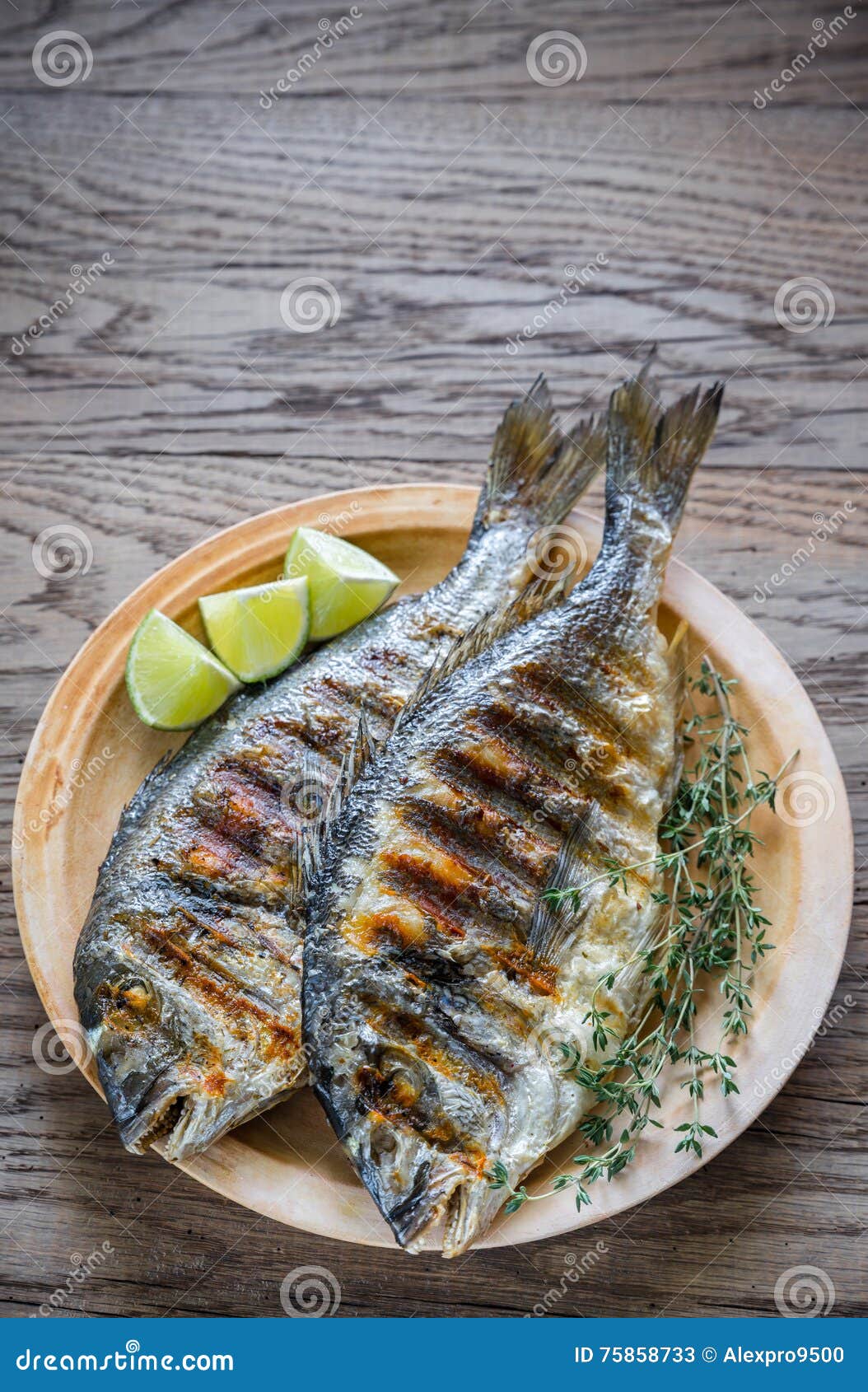 Grilled Dorade Royale Fish stock image. Image of cooked 75858733