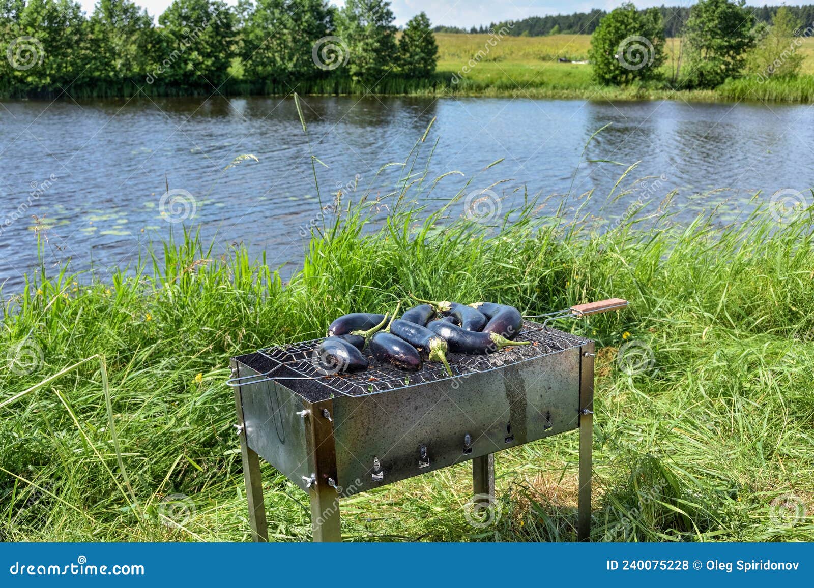 Grilled Eggplant, Cooking Eggplant in Nature Stock Photo Image of