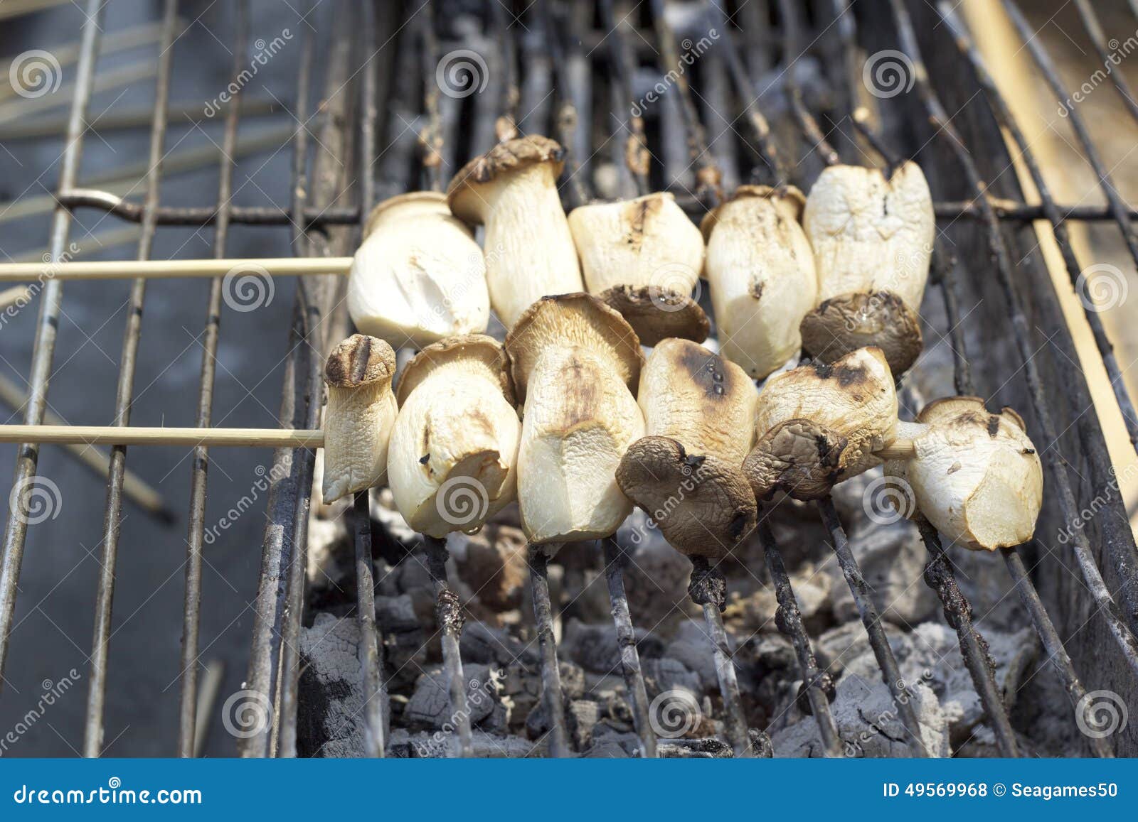 Grilled eringe mushrooms stock photo. Image of thailand - 49569968