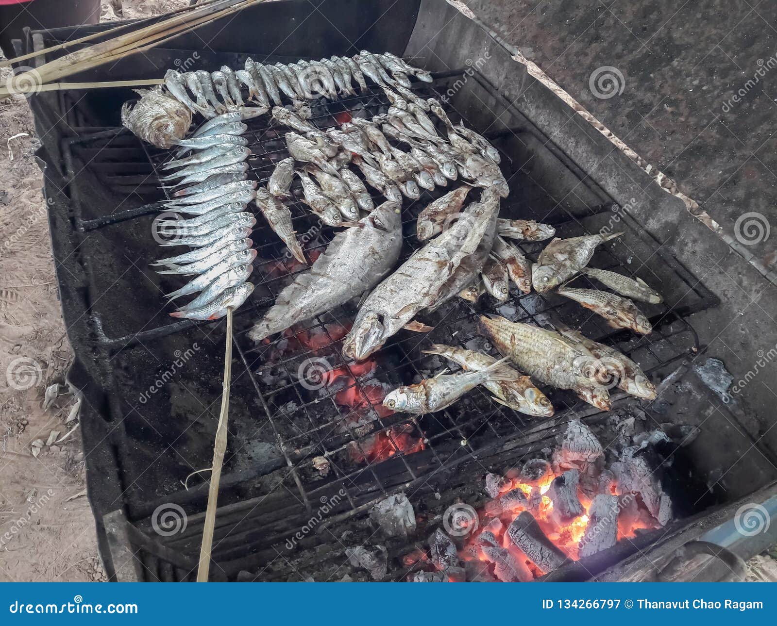 Grilled fish on stove stock image. Image of cuisine 134266797