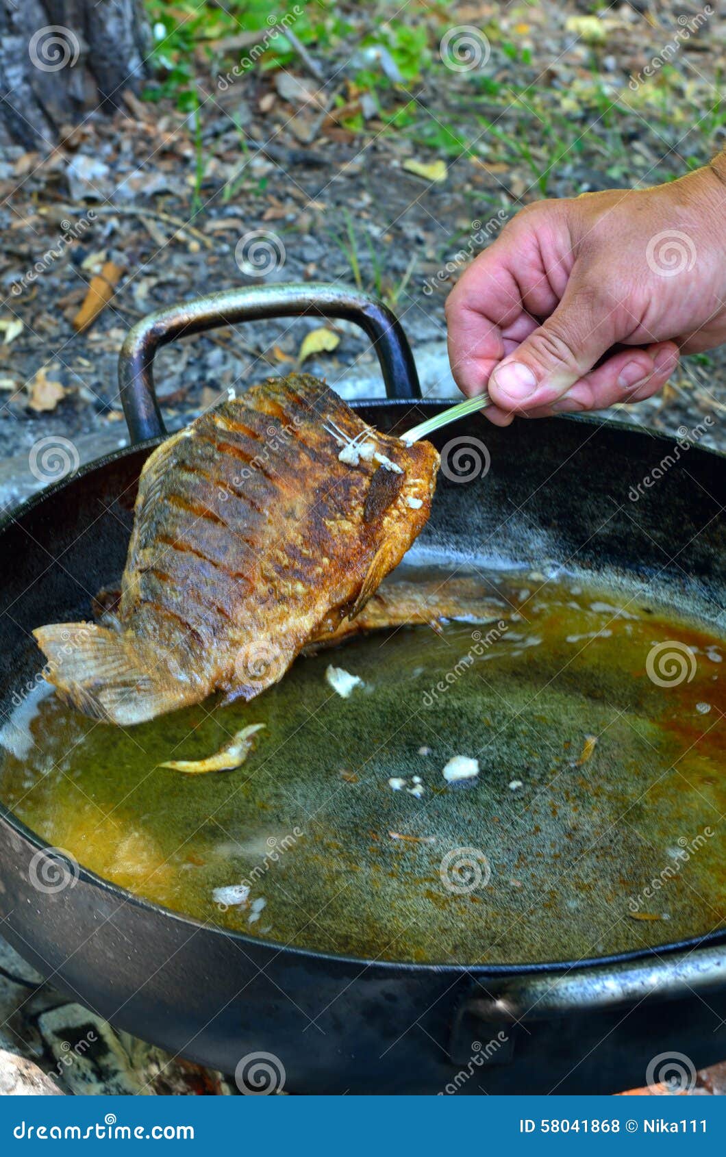 Grilled fish on the fire stock photo. Image of prepared 58041868