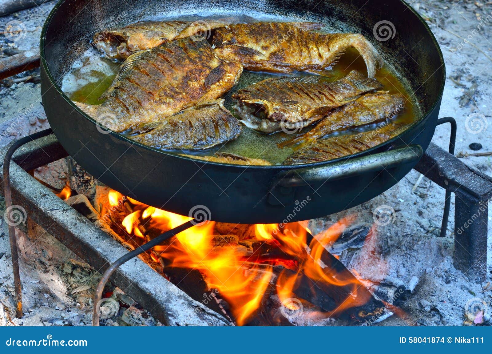 Grilled fish on the fire stock photo. Image of yellowbarbecue 58041874