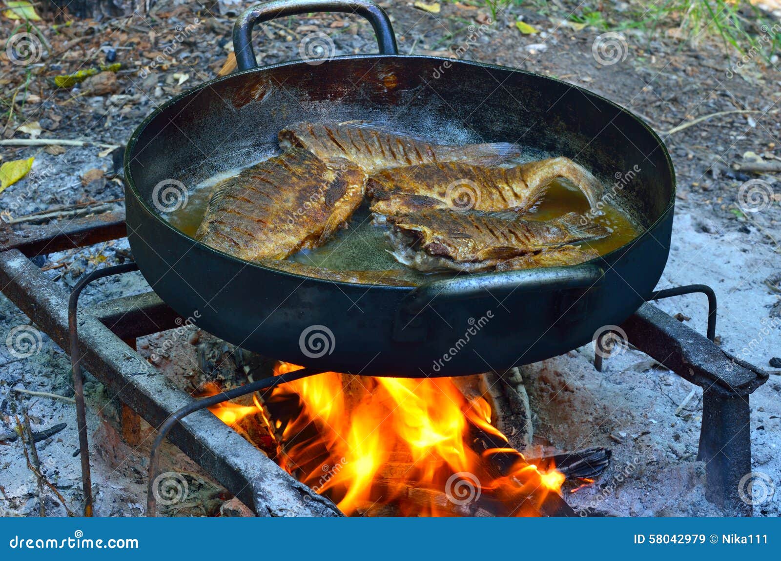 Grilled fish on the fire stock image. Image of recreation 58042979