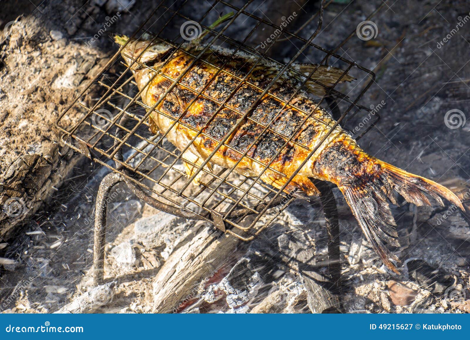 Grilled Fish, Iron Grill, Fire, Wood, Charcoal. Stock Image Image of