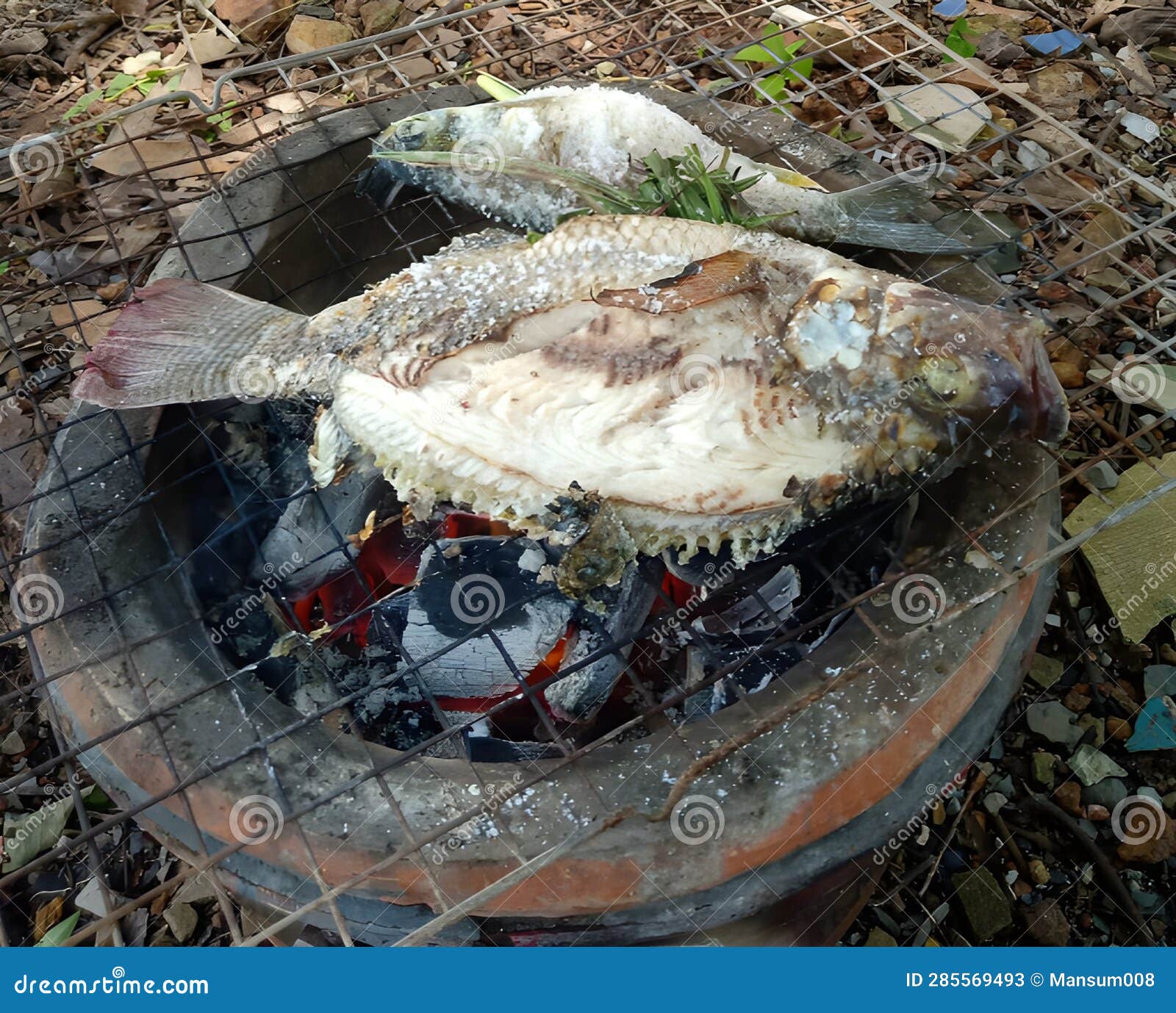 Grilled fish on stove stock image. Image of dead, delicious 285569493