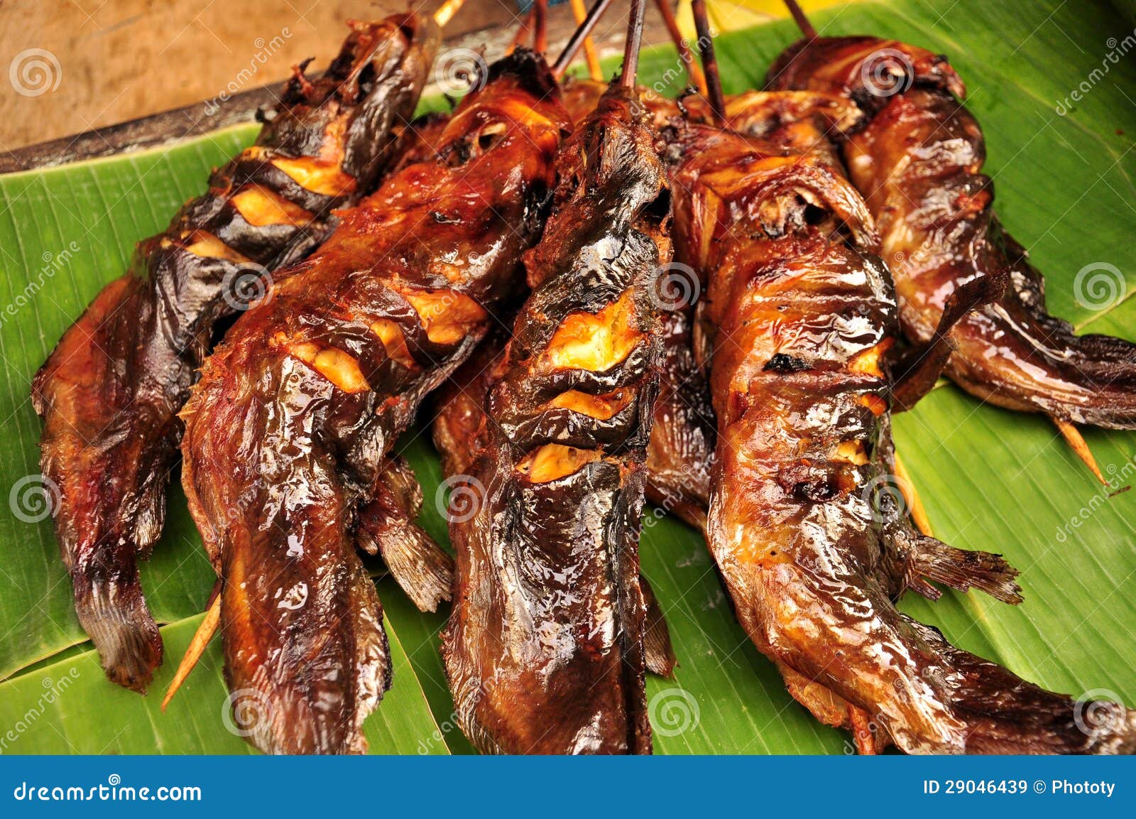 Grilled Fresh Walking Catfish with Herbs and Lemon Stock Image Image