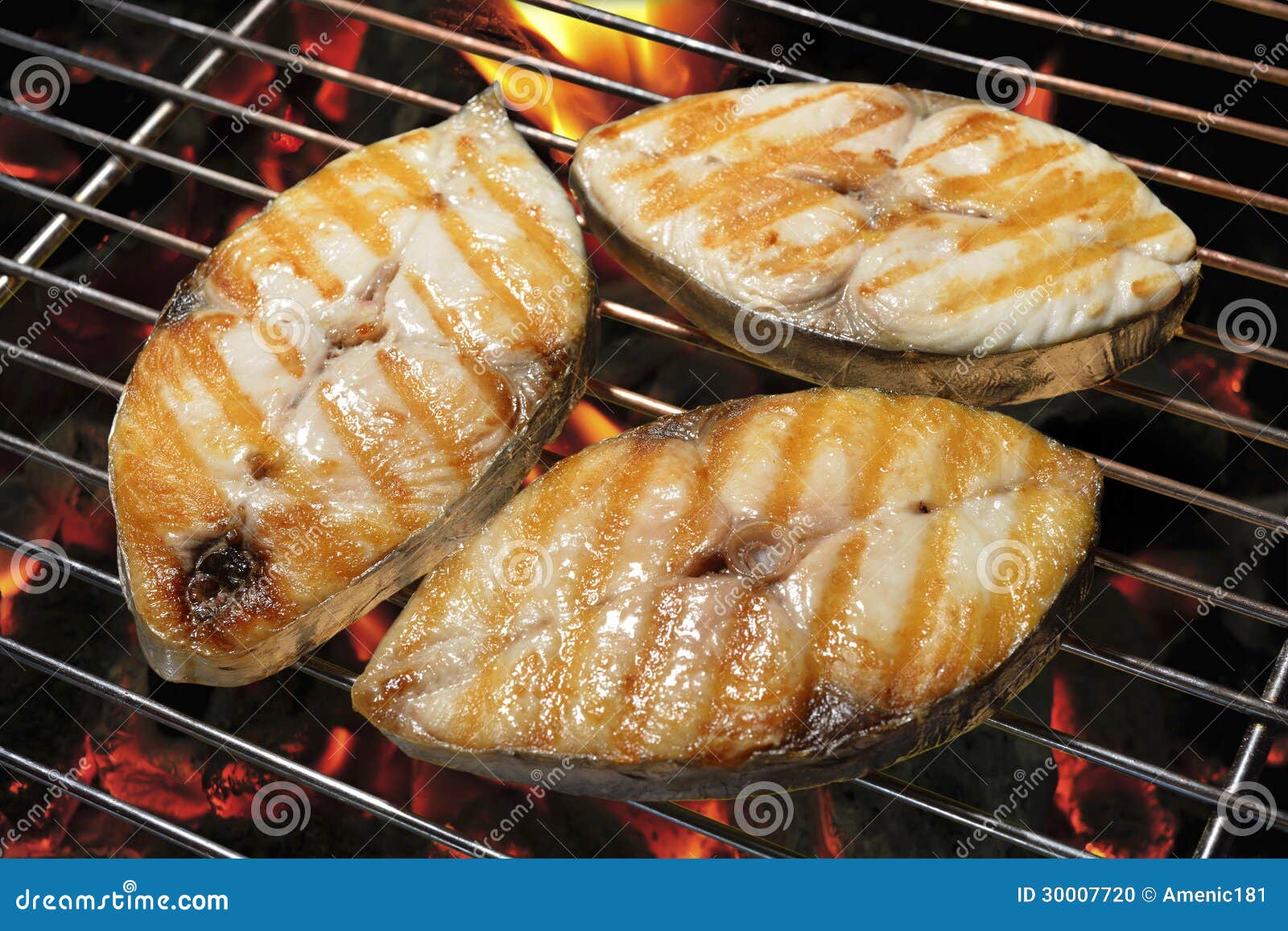 Grilled mackerel stock photo. Image of roast, slice, seafood 30007720