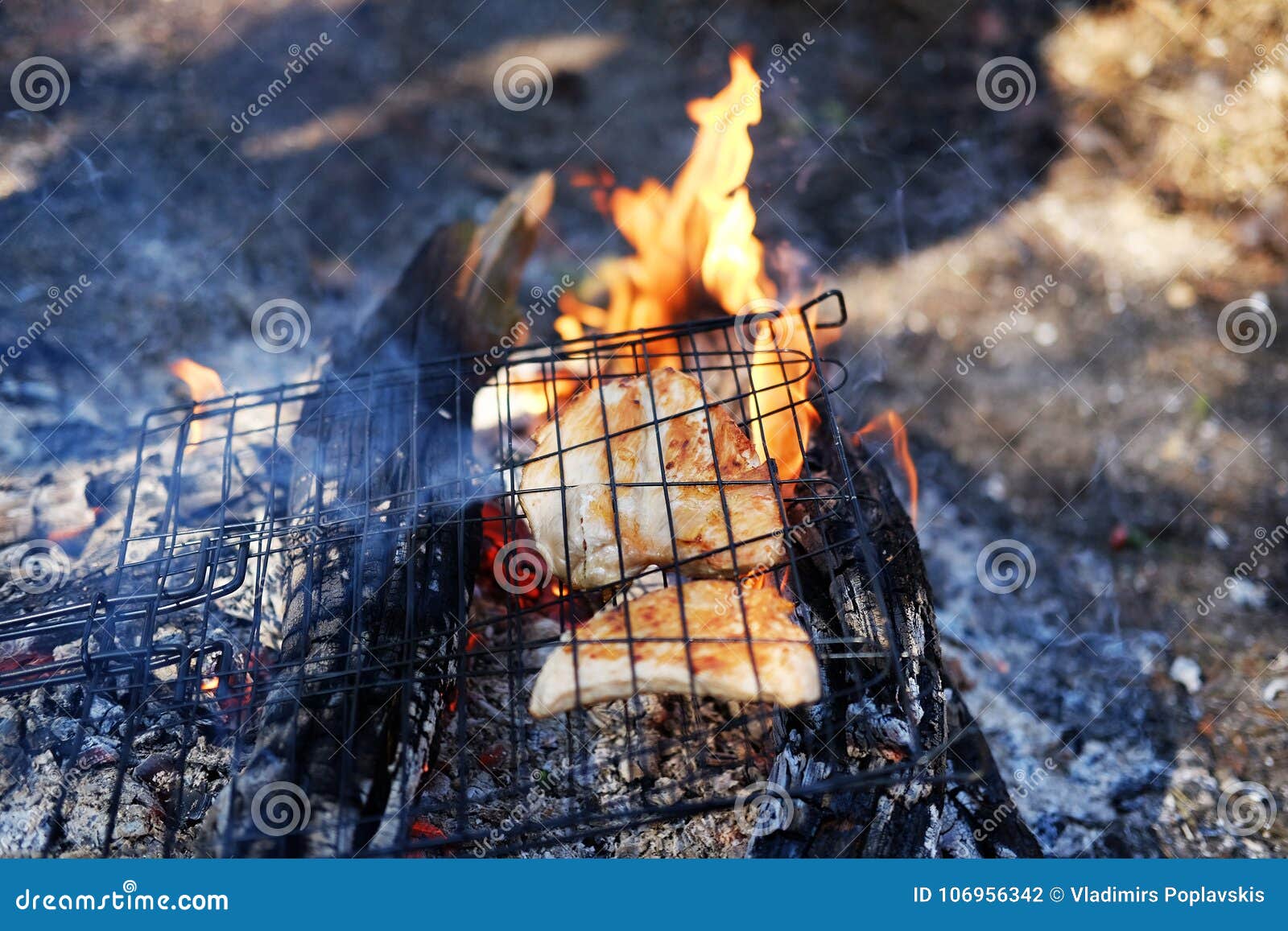 Grilled meat on a fire. stock photo. Image of heat, horizontal - 106956342