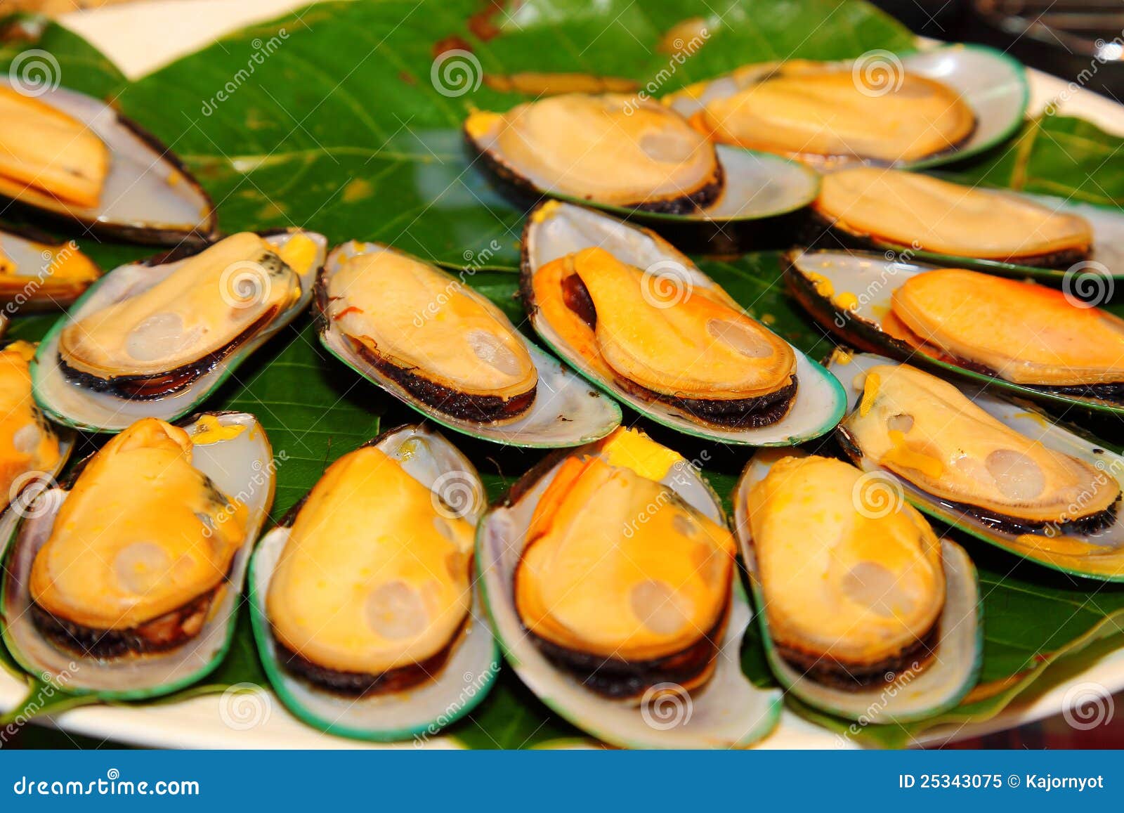 Grilled Mussel Ready for Eat on the Banana Leaf Stock Image Image of