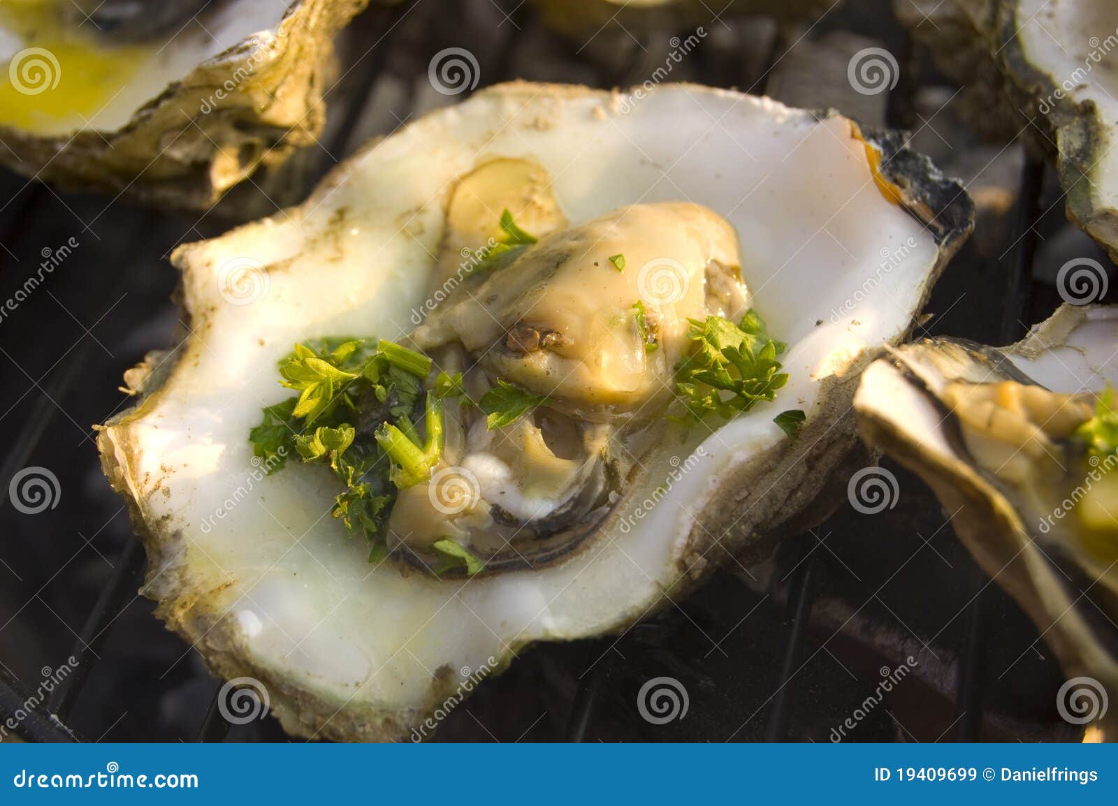 Grilled Oyster stock image. Image of dish, food, cooking 19409699