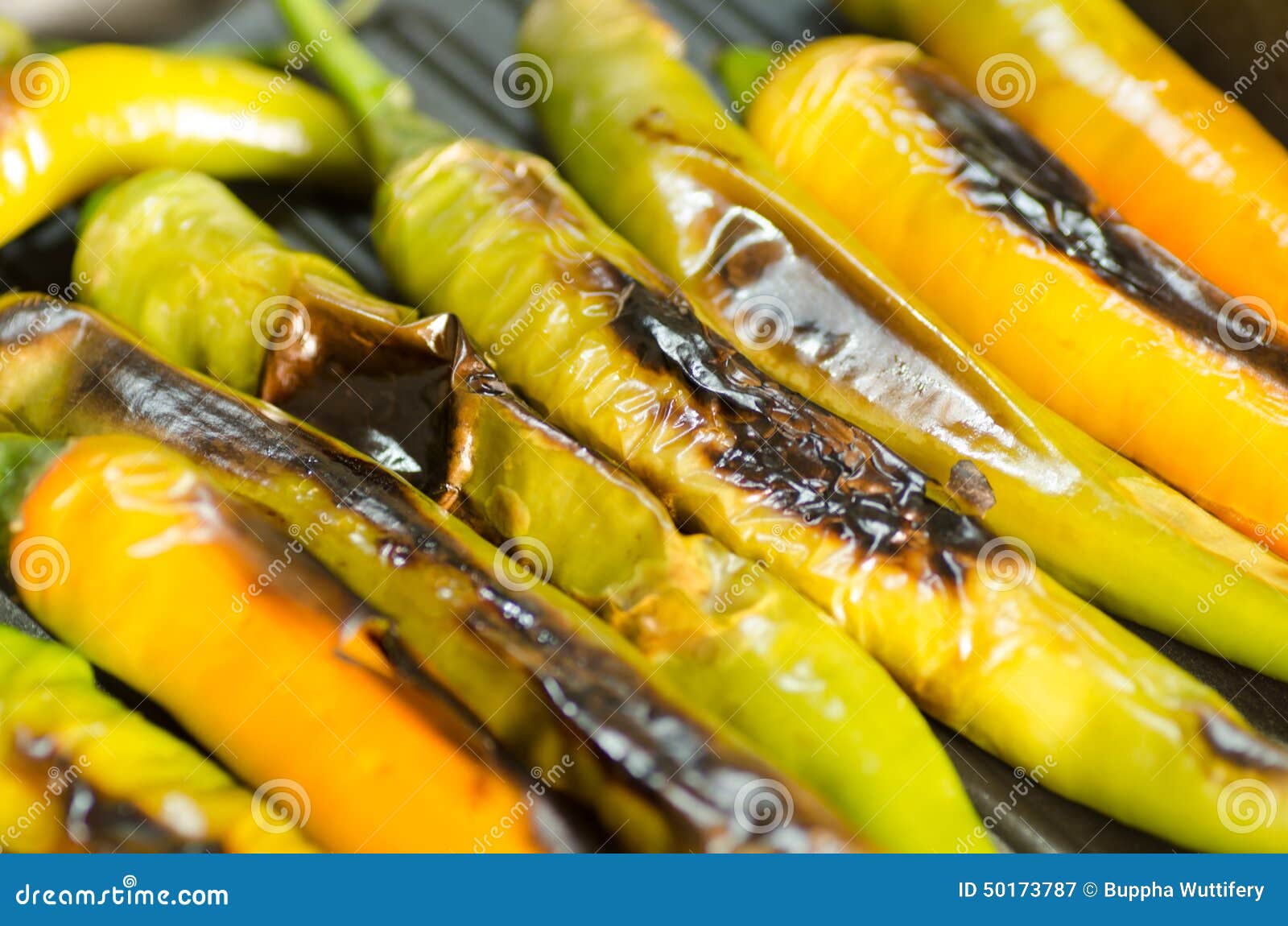 Grilled pepper stock image. Image of cook, ingredient 50173787