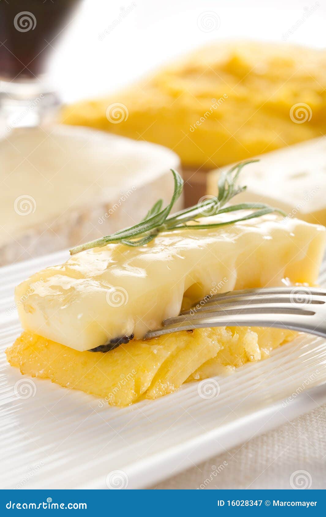 Grilled Polenta with Cheese Stock Image Image of delicious, cornmeal 16028347